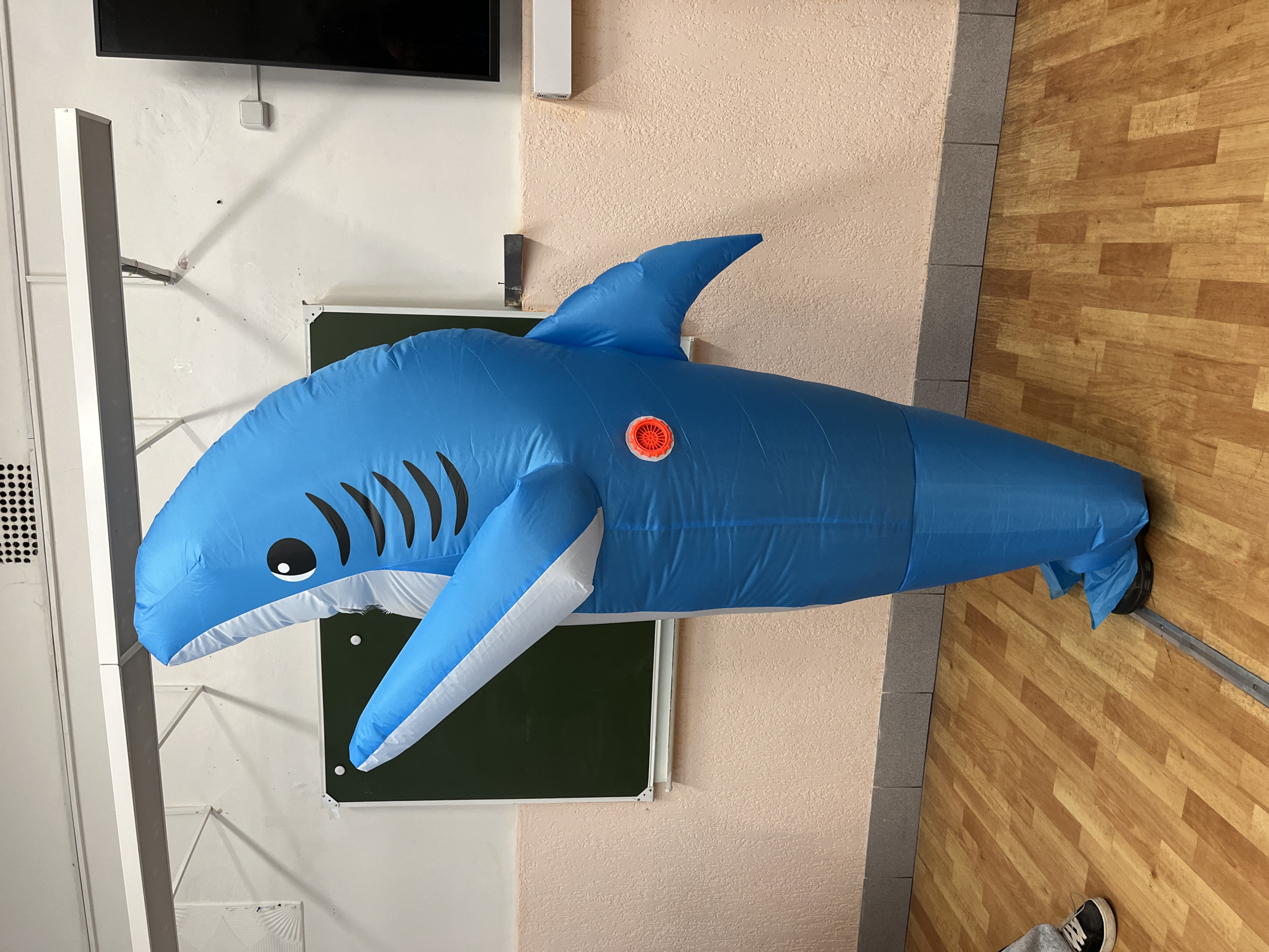 A person is wearing a full-body inflatable blue shark costume. The costume covers the person from head to toe, with the shark's head at the top and its fins and tail extending outwards. The shark has a cartoonish design with black lines representing gills and a large, round black eye. On the side of the shark's body, there is a red circular vent with a white and orange grill pattern. The person's feet are visible at the bottom of the costume, wearing dark shoes.
The background includes a light-colored wall with a textured finish and a grey baseboard. A dark green chalkboard or whiteboard with a white frame is mounted on the wall behind the shark costume. Above the chalkboard, there is a long, white fluorescent light fixture attached to the ceiling. The floor is made of polished wooden planks arranged in a parquet pattern. To the left of the shark costume, part of another person's lower body is visible, wearing grey sweatpants and black sneakers. The overall environment appears to be an indoor space, possibly a classroom or gymnasium, with elements of institutional or educational decor. The image was taken in the city of Chaikovsky, Russia.