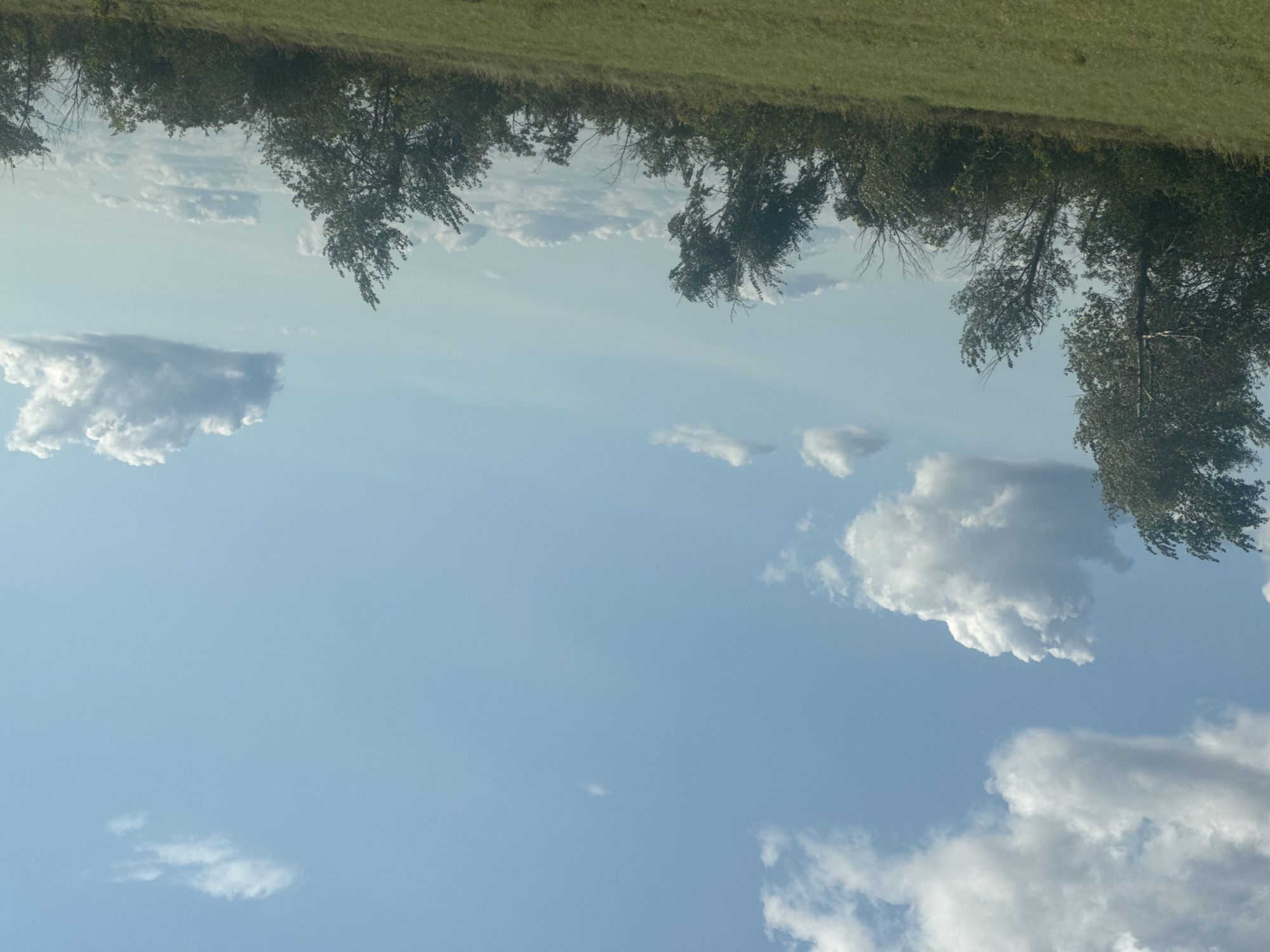 The image depicts a landscape under a partly cloudy sky. In the foreground, a grassy field slopes gently upwards. The middle ground is occupied by a line of trees and dense foliage, varying in height and density. Some of the trees are tall and slender, while others are shorter and bushier. The sky above is a clear blue with scattered white cumulus clouds, some of which are large and fluffy, while others are smaller and more dispersed. There are no people, animals, or structures visible in the image. The scene appears to be a natural, outdoor environment, likely in a rural or semi-rural setting. The specific location in Perevolotsky, Russia, is not visually evident from the image itself.