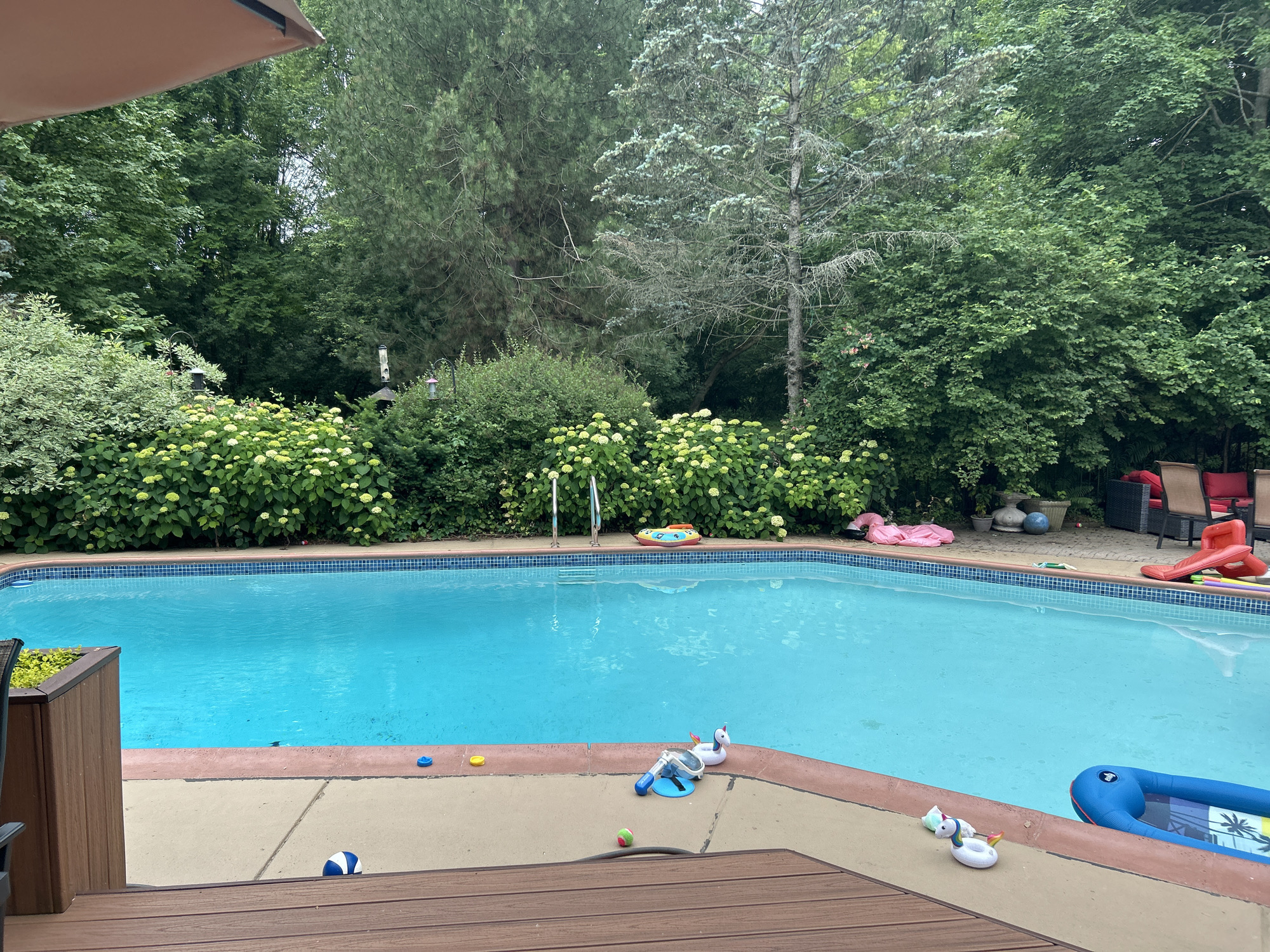 The image depicts a backyard swimming pool area on an overcast day, likely in Farmington Hills, USA. The pool is filled with bright blue water and is surrounded by a concrete deck. Various pool toys are scattered around the deck and in the pool, including a pink flamingo float, a unicorn float, a blue inflatable raft, and a snorkel set. There are also a few small balls and a ring float visible.
The background is filled with lush greenery, including tall trees and bushes with white flowers. A brown umbrella provides shade over a portion of the scene. In the distance, there are patio chairs and a red plastic slide, suggesting a recreational setting. The overall mood is relaxed and inviting, indicating a summer day enjoyed outdoors. The presence of numerous pool toys suggests that children may have recently been or will soon be playing in the pool. The lighting indicates it is daytime, but the overcast sky suggests the sun is not directly shining. No visible text is present in the image.