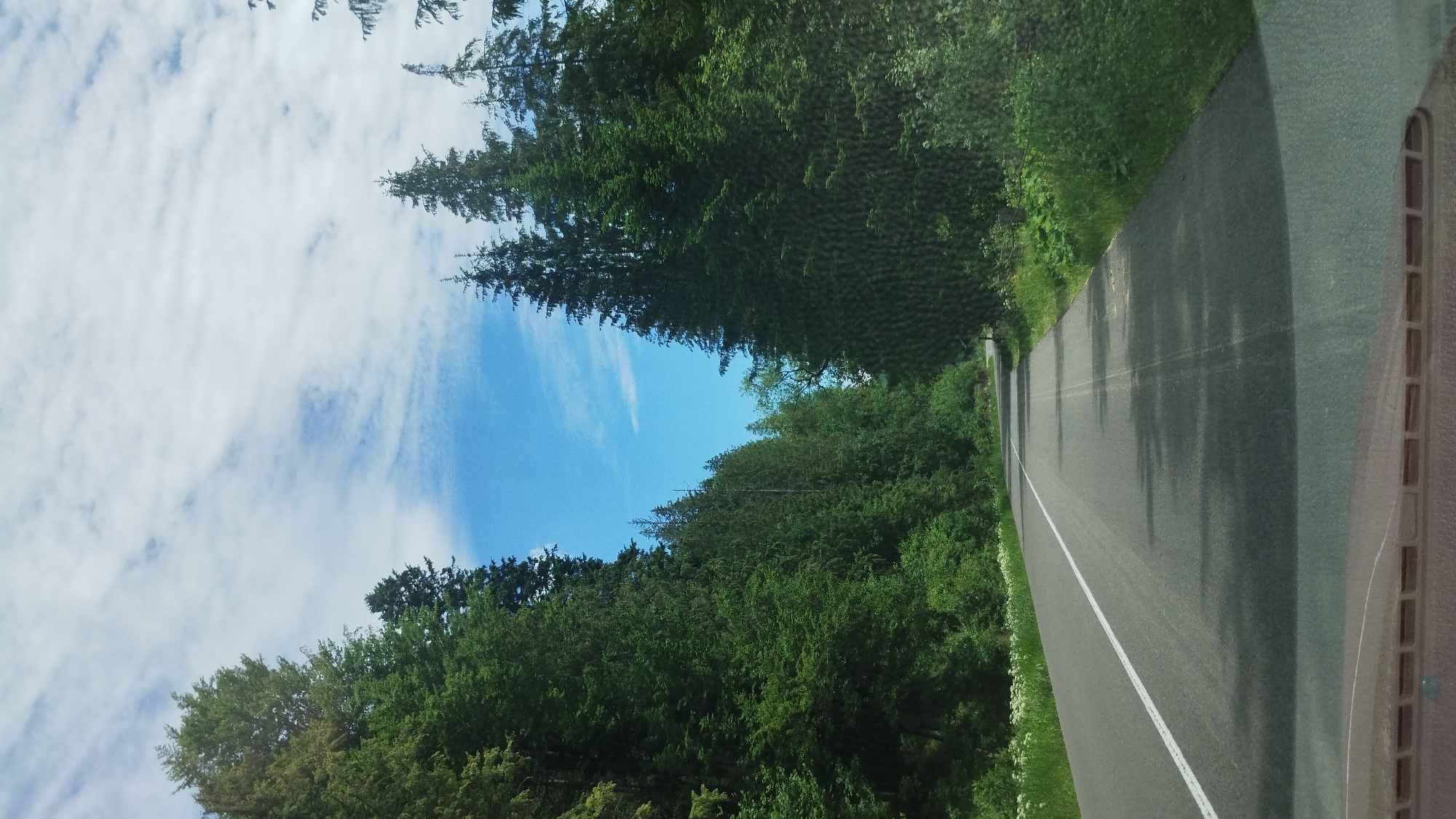 This media file captures a scenic view from a vehicle traveling along a paved road that curves to the right. The road is bordered by lush green trees, primarily evergreen, with some deciduous trees interspersed. The trees are densely packed, creating a tunnel-like effect in some areas. On the left side of the road, the canopy of trees opens up to reveal a bright blue sky with scattered white clouds. The sun appears to be shining, suggesting a pleasant day, likely late morning or early afternoon given the brightness and shadows cast on the road. The setting evokes a sense of driving through a natural, forested area, possibly in a rural or park-like location. The overall mood is tranquil and inviting, typical of a drive through a natural landscape. There is no visible text in the image.