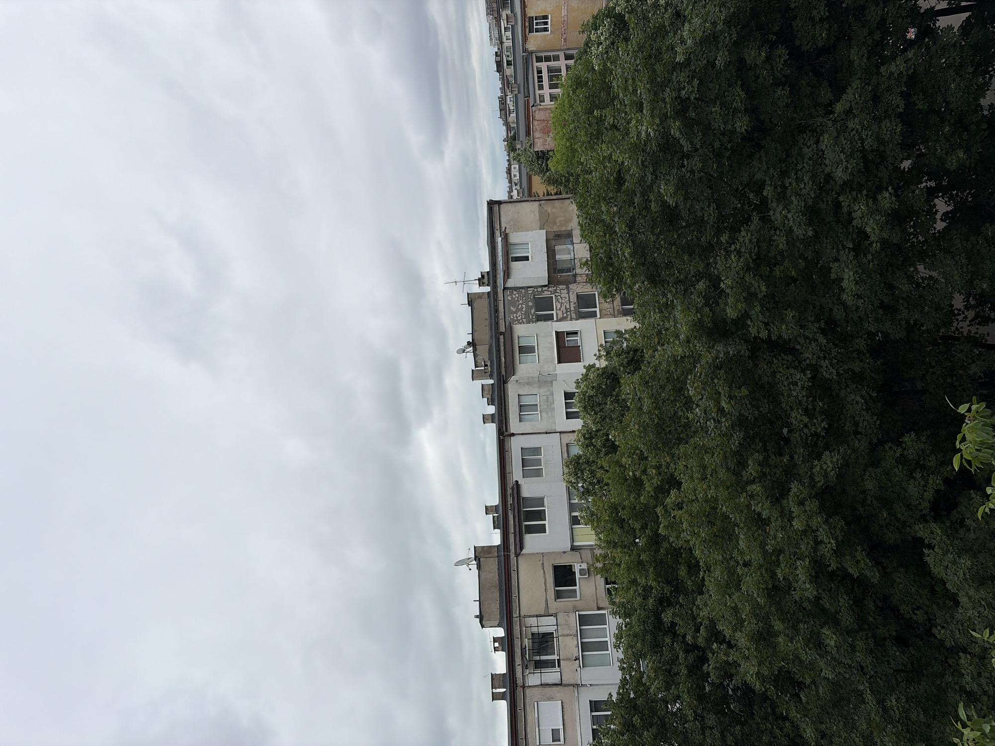 A medium shot captures a view of a multi-story apartment building across a line of lush green trees. The sky is overcast with a light grey hue. The apartment building, stretching horizontally across the frame, displays various architectural styles and states of repair, with some sections appearing weathered and others more modern. A satellite dish is visible on the rooftop. The trees in the foreground are full and dense, obscuring the lower portions of the buildings and creating a contrast between the urban structures and the natural elements. The lighting suggests it is daytime, likely a cloudy day.