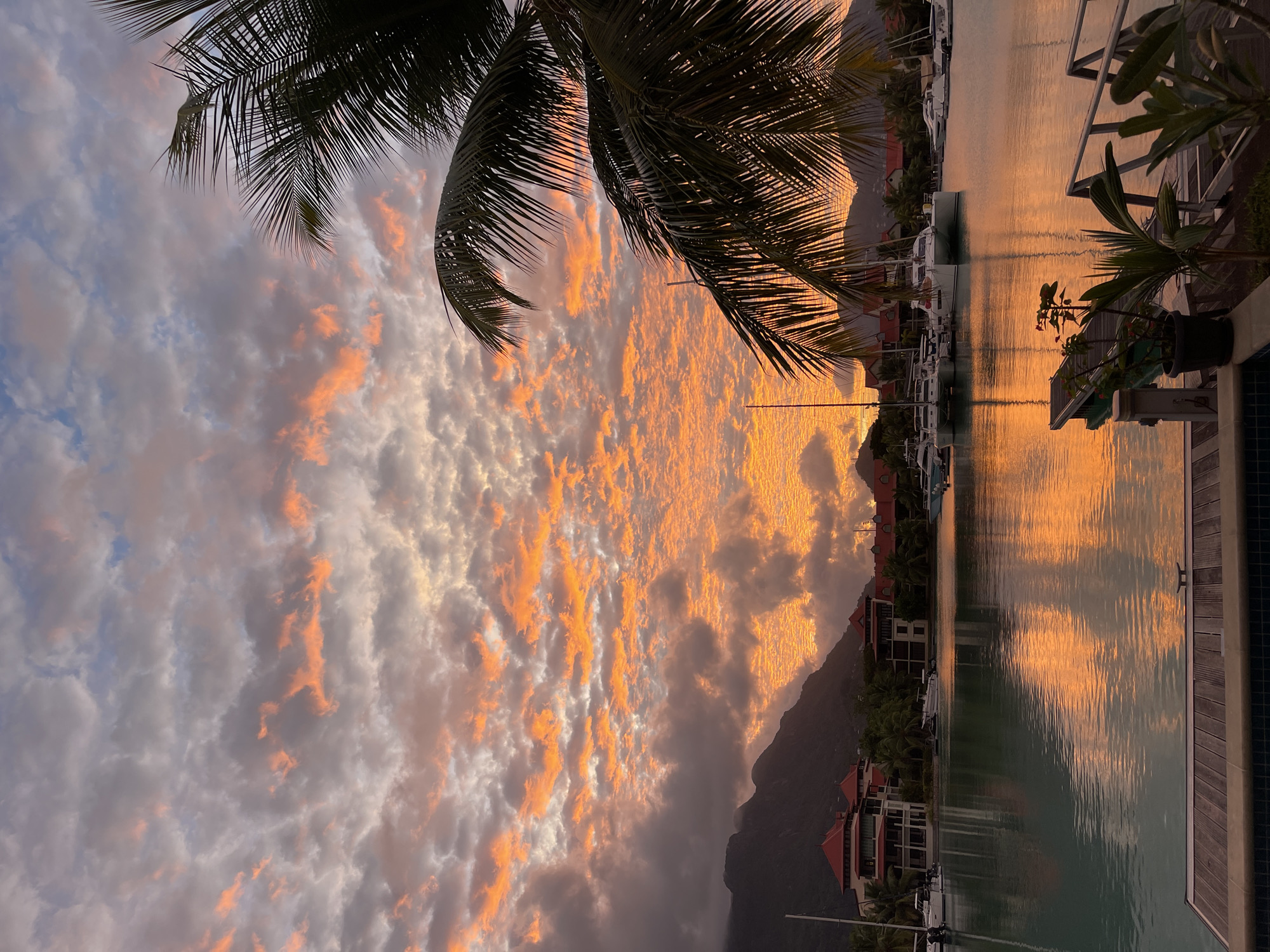 This image depicts a sunset over a marina in Providence, Seychelles. The sky is filled with vibrant orange and pink clouds, reflecting on the calm water. Several sailboats and yachts are docked, with buildings and lush green mountains in the background. Palm fronds frame the foreground, adding a tropical feel to the scene. There are no people visible in the image.