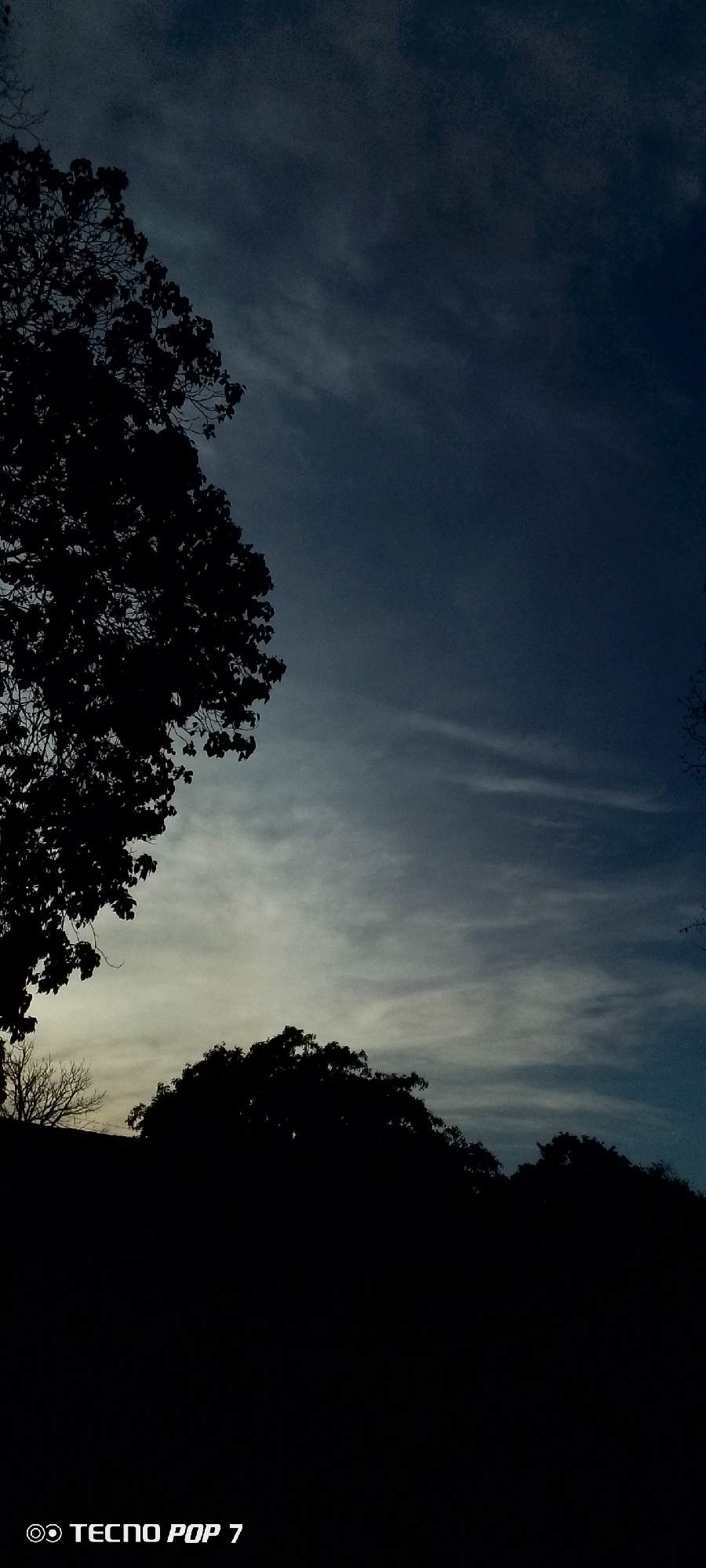 The image displays a serene outdoor scene at either dusk or dawn, set in Altagracia, Venezuela. The primary subjects are a vast, cloudy sky and prominent silhouettes of trees.
The sky occupies the majority of the frame, showcasing a gradient of colors. It transitions from a lighter, pale greyish-white along the horizon, suggesting the last vestiges of daylight or the first hints of sunrise, to a deeper, dark blue-grey in the upper areas. Wispy, elongated clouds are scattered across the sky, forming soft, horizontal streaks that add texture and depth.
In the foreground and lower sections, dense foliage and branches of several trees are rendered in deep silhouette against the brighter sky. A large tree dominates the left side of the frame, its intricate canopy and branches extending into the upper left corner. Below it, the bare branches of another tree are faintly visible near the horizon. Further to the right, a continuous line of silhouetted treetops suggests a forested or heavily treed landscape. The deep shadows and lack of detail on the trees strongly indicate low light conditions.
The overall atmosphere is quiet and contemplative.
In the bottom left corner of the image, a white watermark is present, featuring a camera icon followed by the text "TECNO POP 7", indicating the device used to capture the photograph.