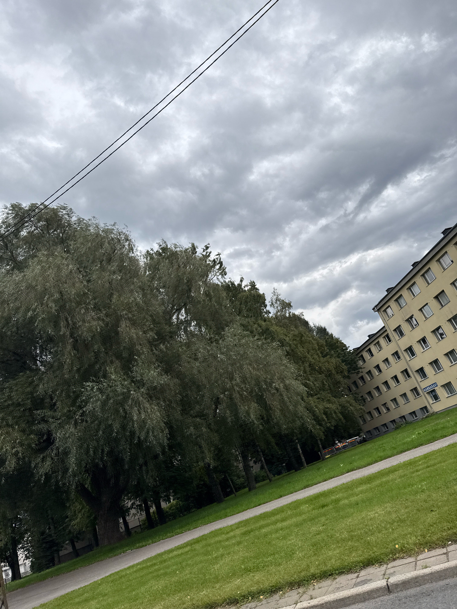 The image depicts a section of a multi-story residential building in Tallinn, Estonia, on a cloudy day. The building is a pale yellow color and has numerous windows. A street sign on the building reads "HAMBURGI". To the left of the building, a row of trees, some appearing to be willow trees with drooping branches, lines a grassy area. A paved path runs diagonally across the foreground, bordered by a curb and sidewalk. Overhead, two dark power lines stretch across the cloudy sky. The overall scene is a typical urban landscape with residential housing and green space under an overcast sky. There are no people visible in the image.