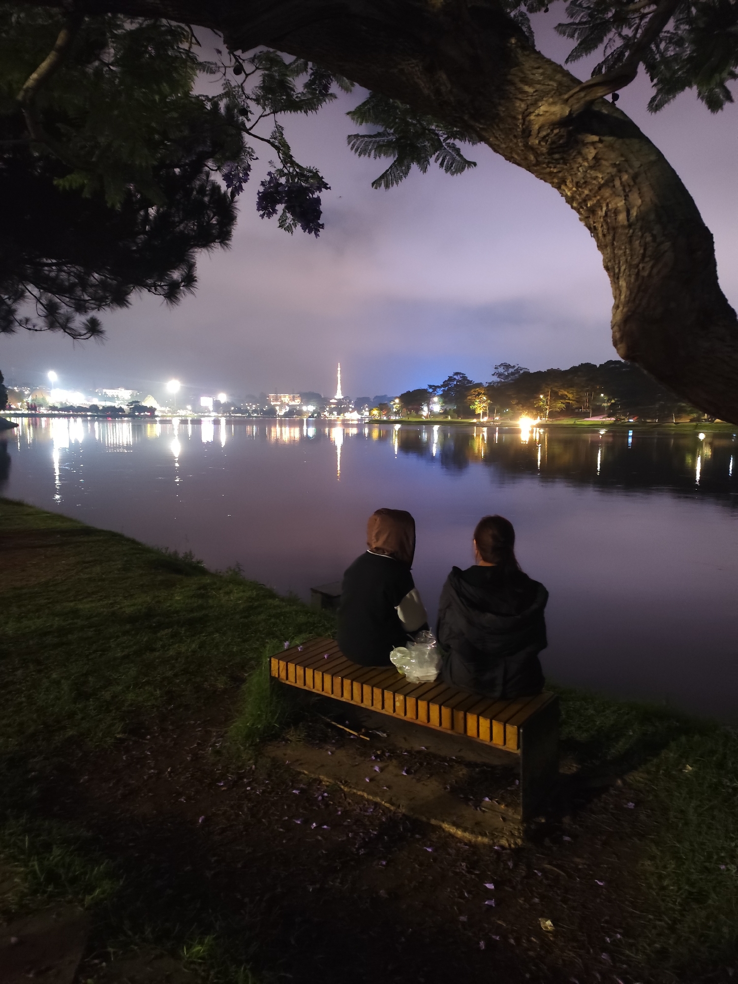 Two people are sitting on a wooden bench at night, facing a lake. The city of Da Lat, Vietnam, is visible across the lake, illuminated with lights. The lights are reflected in the water. A large tree branch partially obscures the scene from the upper right. The foreground is grassy. A white plastic bag rests on the bench. The sky is cloudy.