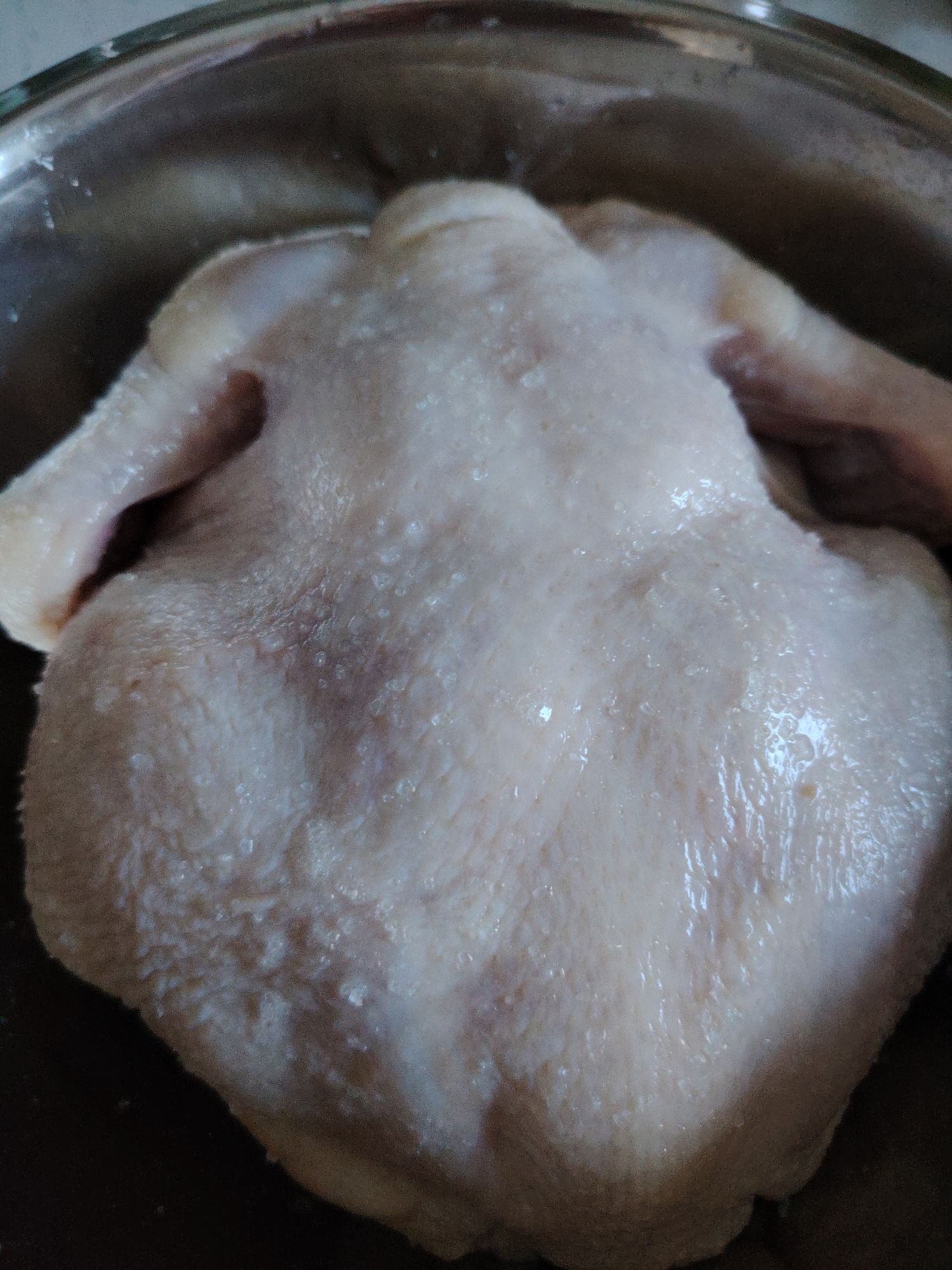 A whole raw chicken is presented in a metallic bowl. The chicken is pale with a slightly wet appearance, and there are small white specks scattered across its skin, which could be salt or seasoning. The chicken's wings are tucked in. The bowl appears to be made of stainless steel. The lighting suggests an indoor setting. The image is taken from a top-down perspective, focusing primarily on the chicken. There is no discernible connection to Vladimirovka, Russia, or any urban environment.