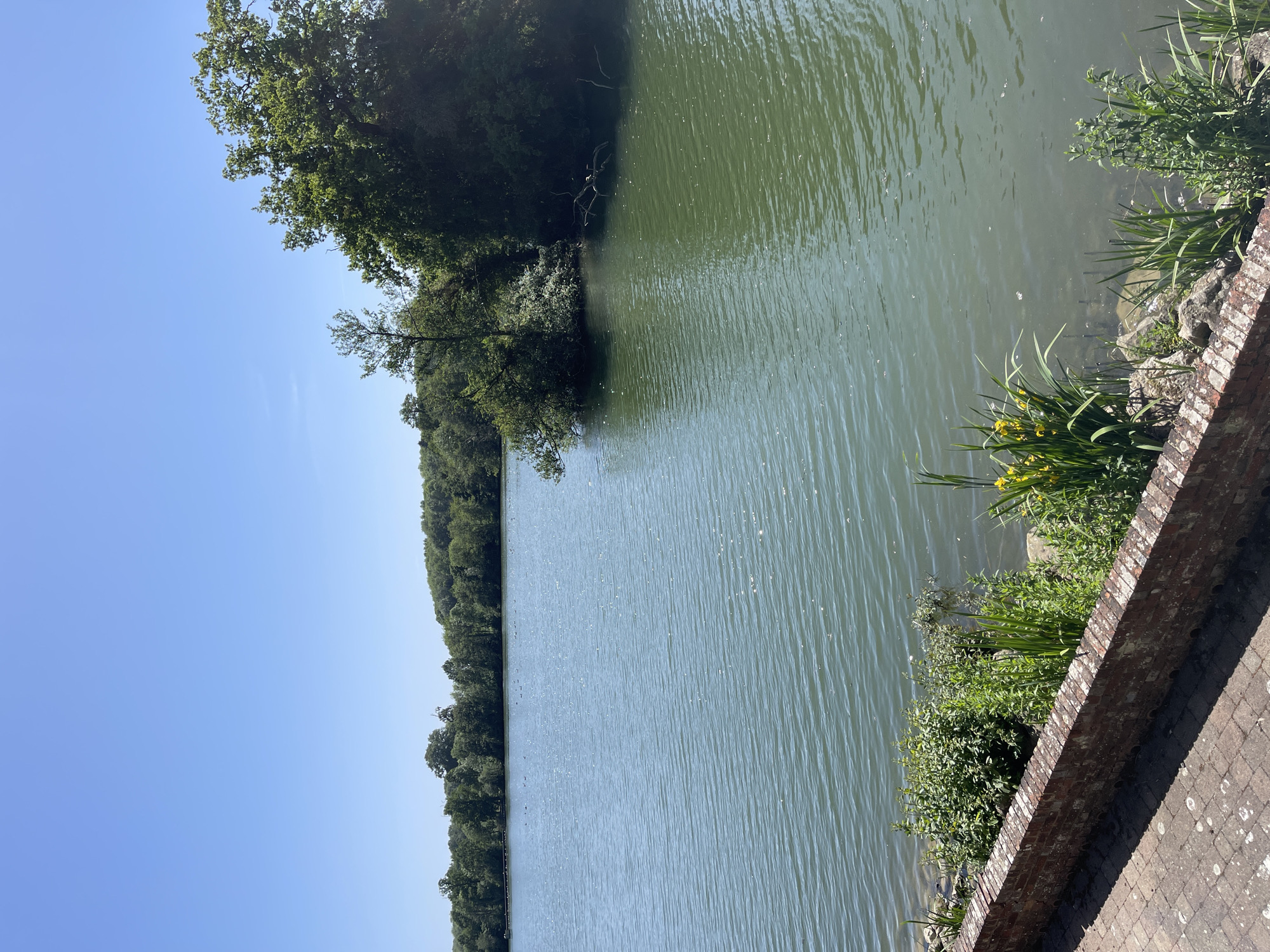 A calm body of water fills the frame, with its surface rippled by a gentle breeze. The water is bordered on both sides by lush green trees and vegetation. A brick wall runs along the edge of the water on the right side, with plants growing out from behind it. The sky is a clear blue, with no clouds visible. The location is Ashford, United Kingdom.