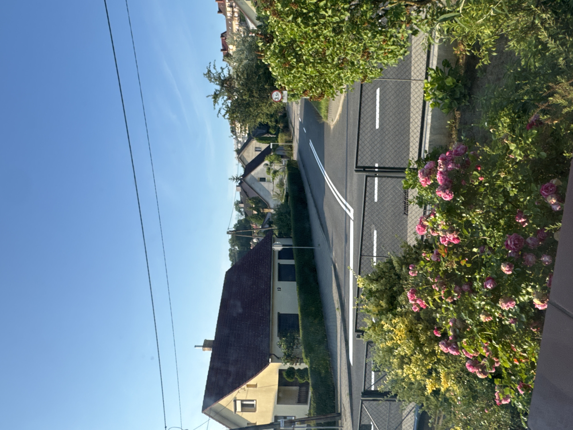 The image depicts a quiet residential street in a European-style town. The scene is bathed in sunlight under a clear blue sky. In the foreground, a profusion of pink roses and lush green foliage borders a black metal fence. Beyond the fence, a paved road features a pedestrian crossing marked by white stripes.
To the left, a modest yellow house with a dark red tiled roof stands behind a neatly trimmed green hedge. The house has a single window on the upper left, an attached porch, and dark shutters on two ground-floor windows. The number "12" is visible on the house's facade. A street sign and a light pole are also present near the house.
Further down the road, several other houses with similar architectural styles and tiled roofs are visible, nestled among trees and greenery. A circular traffic sign with the number "3.5t" is positioned on the right side of the road, indicating a weight limit. The overall impression is one of a peaceful, suburban setting on a bright, sunny day.
