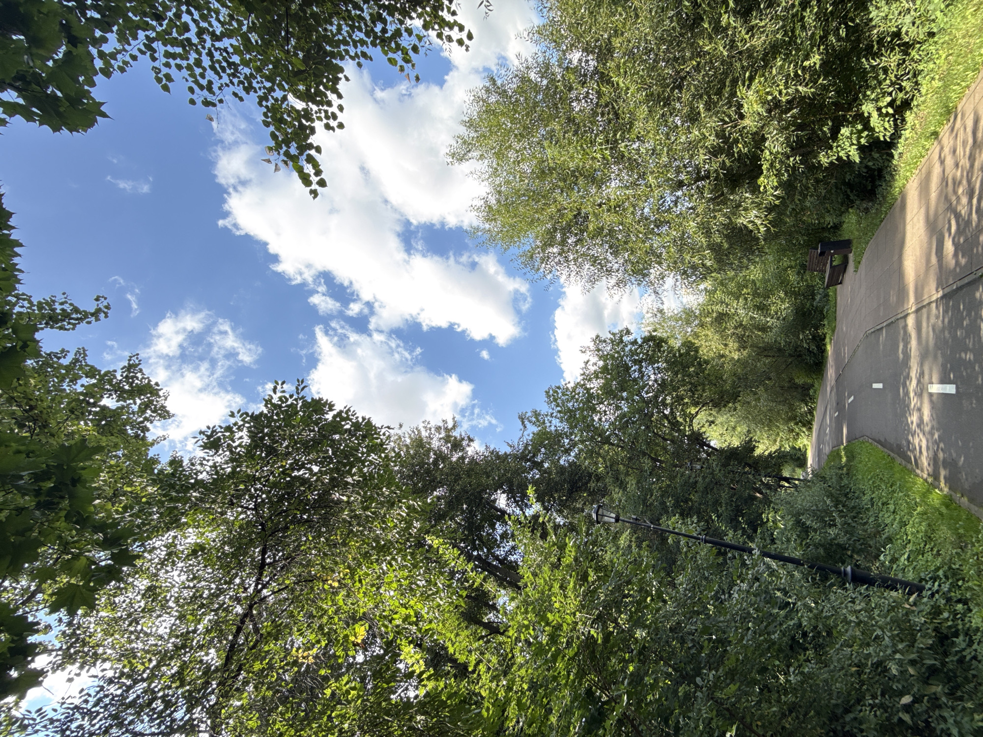 The image depicts a sun-dappled pathway winding through a lush park. Towering trees with vibrant green foliage frame the scene, their branches reaching towards a bright blue sky dotted with fluffy white clouds. The pathway itself is paved and appears to be a designated route for walking or cycling, marked with dashed white lines. To the left of the path, a vintage-style black lamppost stands tall amidst dense greenery. Further along the path on the right, a dark wooden park bench is visible, accompanied by a trash receptacle. The overall impression is one of a serene, natural setting within an urban environment. This scene is consistent with many park areas found throughout Moscow, Russia, such as Izmaylovo Park or Gorky Park, known for their extensive walking paths and abundant greenery. No people are present in the image.