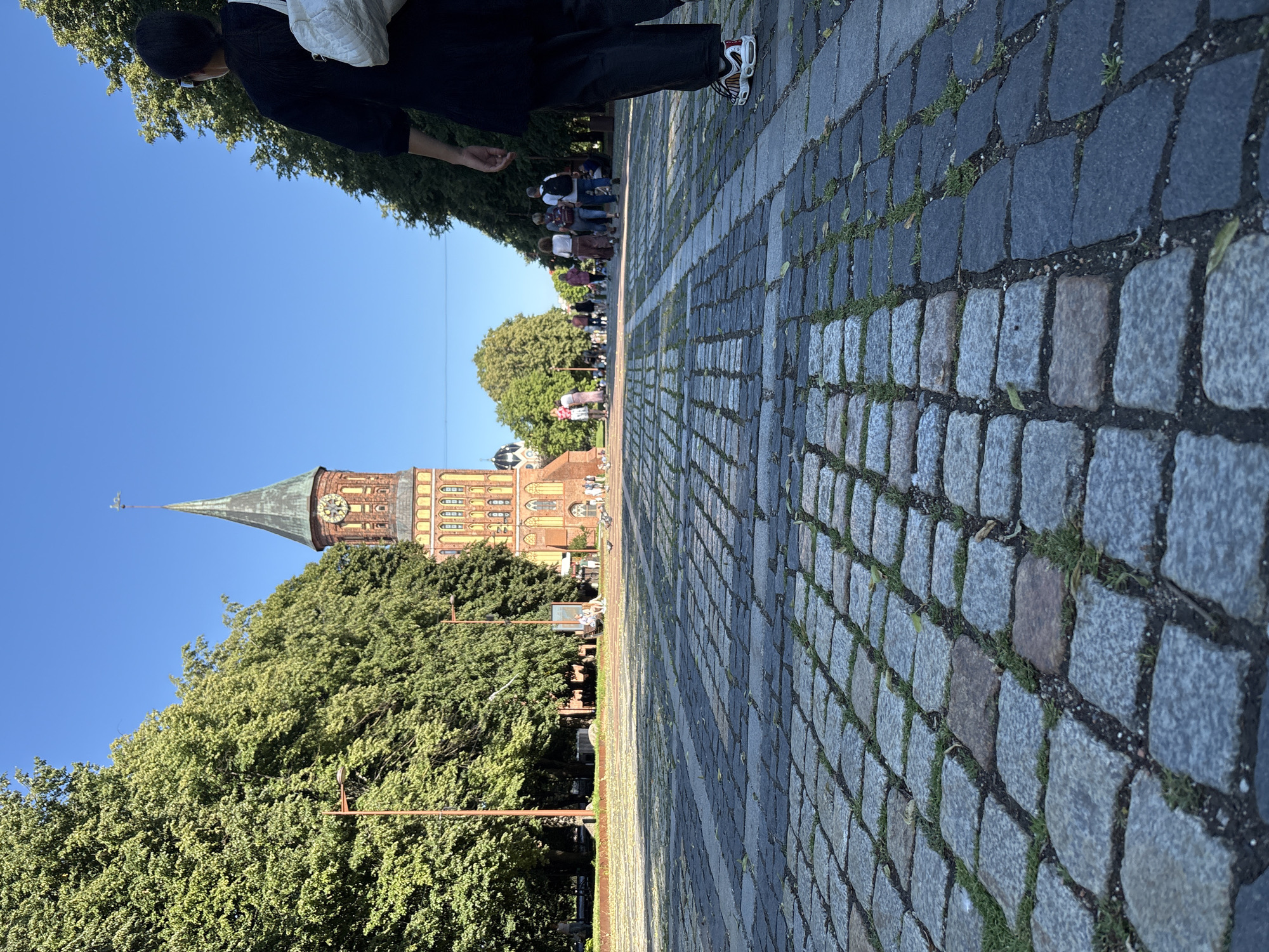 The image shows a low-angle view of a cobblestone pathway leading towards a tall brick tower with a green spire and a clock. The tower, which is the Konigsberg Cathedral, is a prominent landmark in Kaliningrad, Russia. The pathway is flanked by mature trees on either side, with a clear blue sky above. In the foreground, a person wearing black pants and a black top with a white bag slung over their shoulder is walking away from the camera. Further down the path, several other individuals are seen walking, some in groups, and pigeons are scattered on the cobblestones. The architecture of the cathedral suggests a historical setting. The lighting indicates it is daytime, likely late afternoon or early morning due to the long shadows.