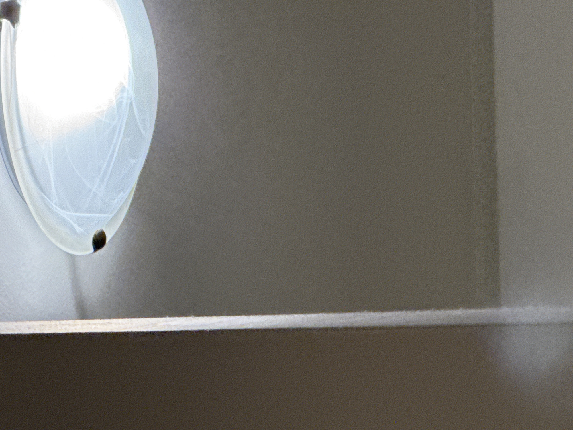 The image shows a close-up view of a ceiling light fixture and a wall. The light fixture is a semi-flush mount style with a white, frosted glass shade. Inside the shade, a bright light source is visible, casting shadows and illuminating the surrounding area. There appears to be a small, dark object attached to the bottom of the light fixture, possibly a bug. To the left of the light fixture, a section of a wall is visible, divided by a vertical seam. The wall is painted in a neutral, taupe color. The overall lighting suggests an indoor environment. There are no people, specific actions, or interactions visible in the image. No elements in the image directly indicate a location in Budva, Montenegro.