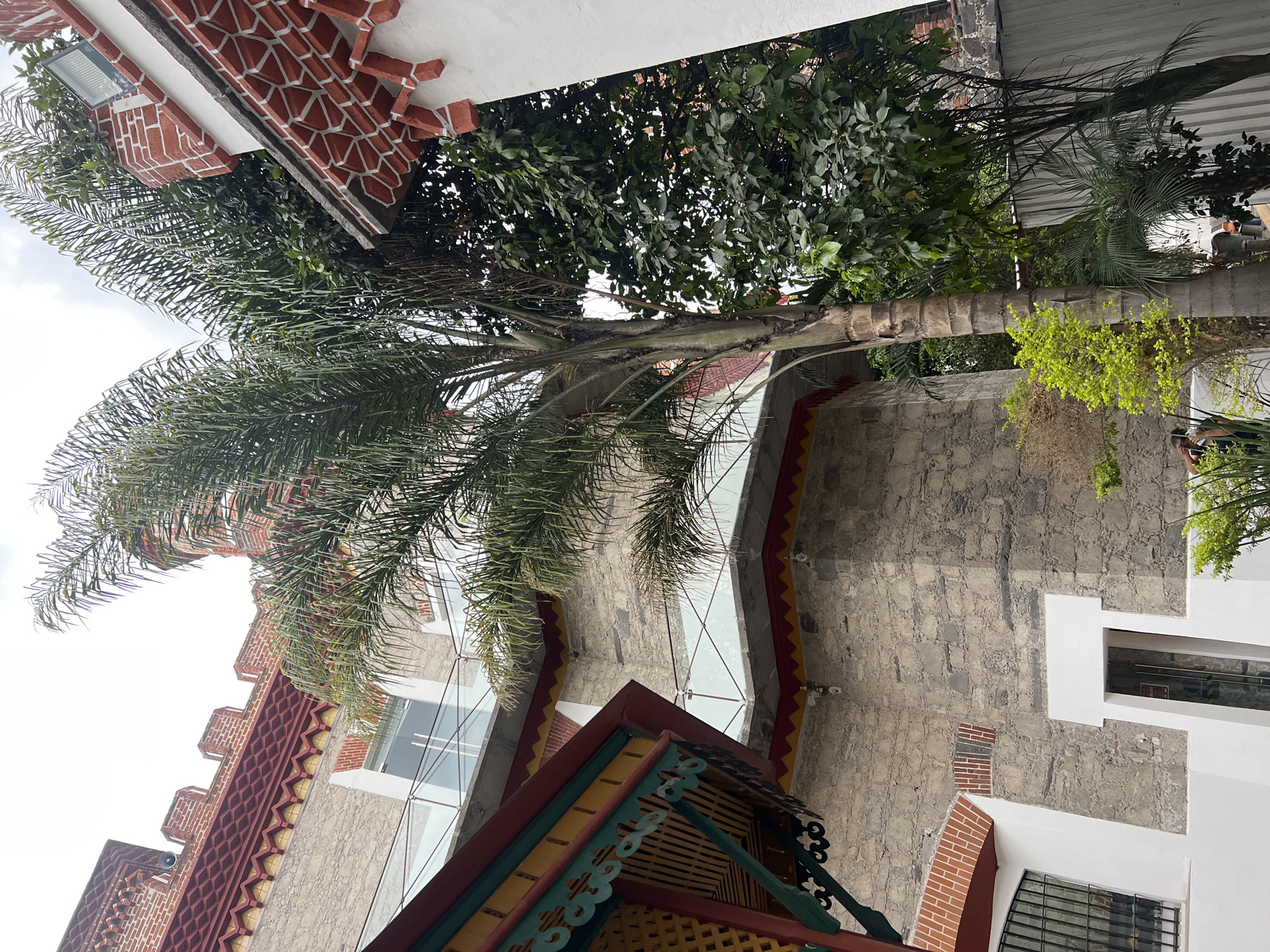 The image displays an upward-angled view of an outdoor architectural scene intertwined with lush vegetation. A prominent, tall palm tree, featuring a thick, textured trunk and extensive green fronds, occupies the center and left of the frame, reaching towards a bright, overcast sky. Various dense green trees and bushes create a rich natural backdrop around the buildings, with lighter green foliage visible closer to the foreground.
The architecture showcases grey, textured stone walls complemented by sections of intricate red brickwork arranged in decorative geometric patterns. White cornices and trim frame parts of the structures. An ornate wooden awning or canopy, visible in the foreground, features vibrant red, yellow, and teal carved details. A modern section of a building with a large glass facade can be seen behind the palm. A floodlight is mounted on a brick structure, and a small speaker or horn device is attached to another building element. A partial figure of a person, possibly a child, in dark clothing and white shoes, is visible in the bottom right, partially obscured by foliage.
The scene is static, depicting the exterior of a building complex during daytime under an overcast sky. The distinctive blend of stone, patterned brickwork, and colorful decorative elements on the wooden structures strongly suggests a cultural or traditional architectural style consistent with Puebla, Mexico. A small, red rectangular sign with illegible text is faintly visible through a distant window.