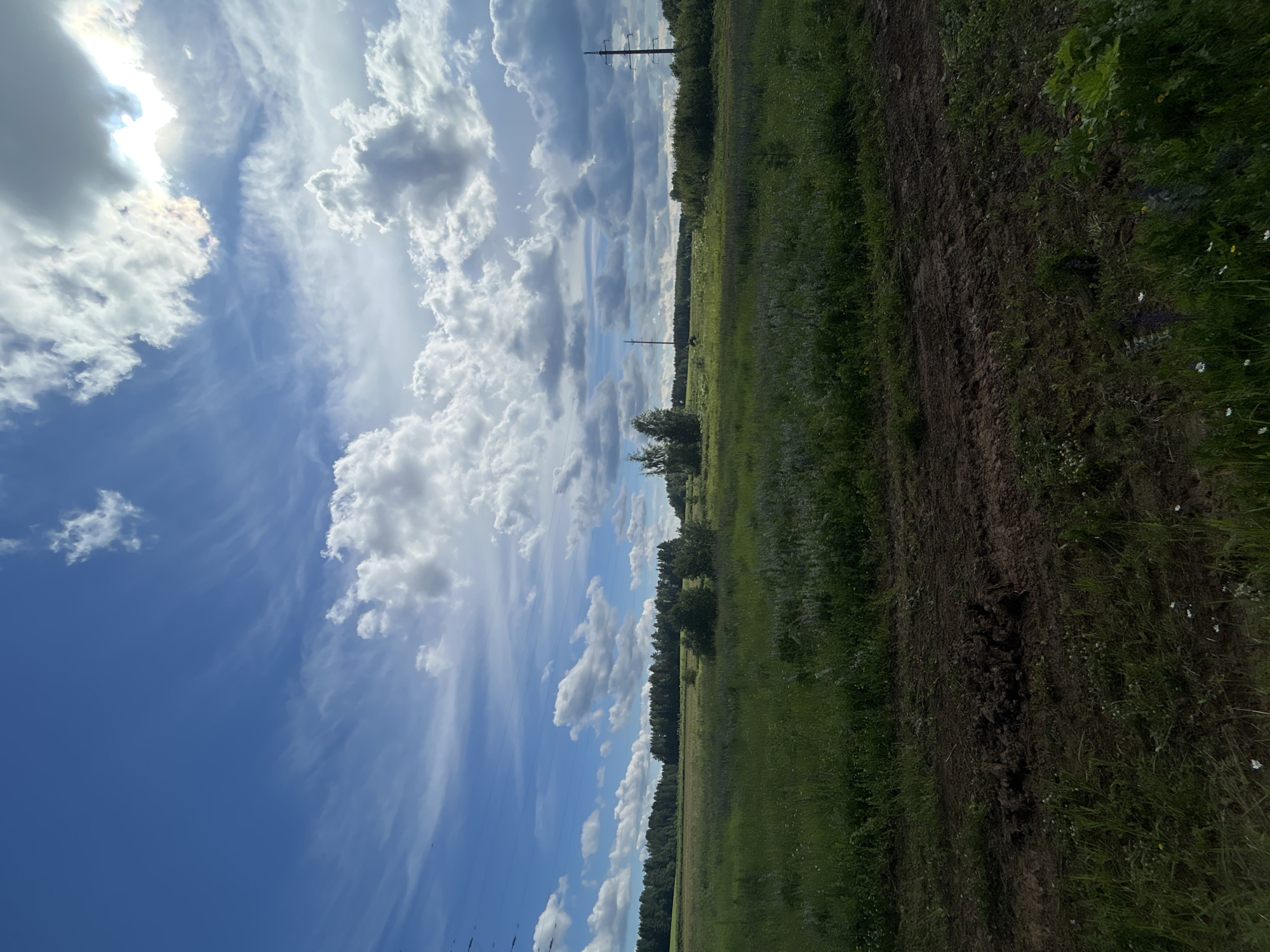 The image depicts a rural landscape under a partly cloudy blue sky. In the foreground, there is a dirt track. Beyond the track lies a field of green grass with scattered wildflowers. In the middle ground, a treeline forms a dark border across the horizon. Two tall electrical towers are visible in the distance, one to the left of center and another to the right. The sun is partially obscured by clouds, creating dynamic lighting conditions. The scene appears to be located in the vicinity of the village of Verkh-Rozhdestvo, Russia, judging by the architectural and environmental cues. There are no people or animals visible in the frame.