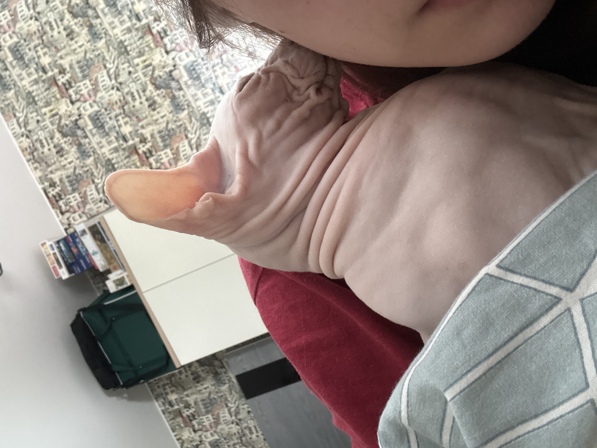 A close-up, indoor shot depicts a person holding a hairless cat, likely a Sphynx breed. The person's face is partially visible at the top of the frame, with the cat nestled close to their neck and chest, wearing a red shirt and grey pillow. The cat's wrinkled skin, prominent ear, and overall form are clearly visible. In the background, there's a wall with a patterned wallpaper, a white cabinet with items on top, and a green bag. The exact location within Krasnoyarsk, Russia cannot be determined from the image.