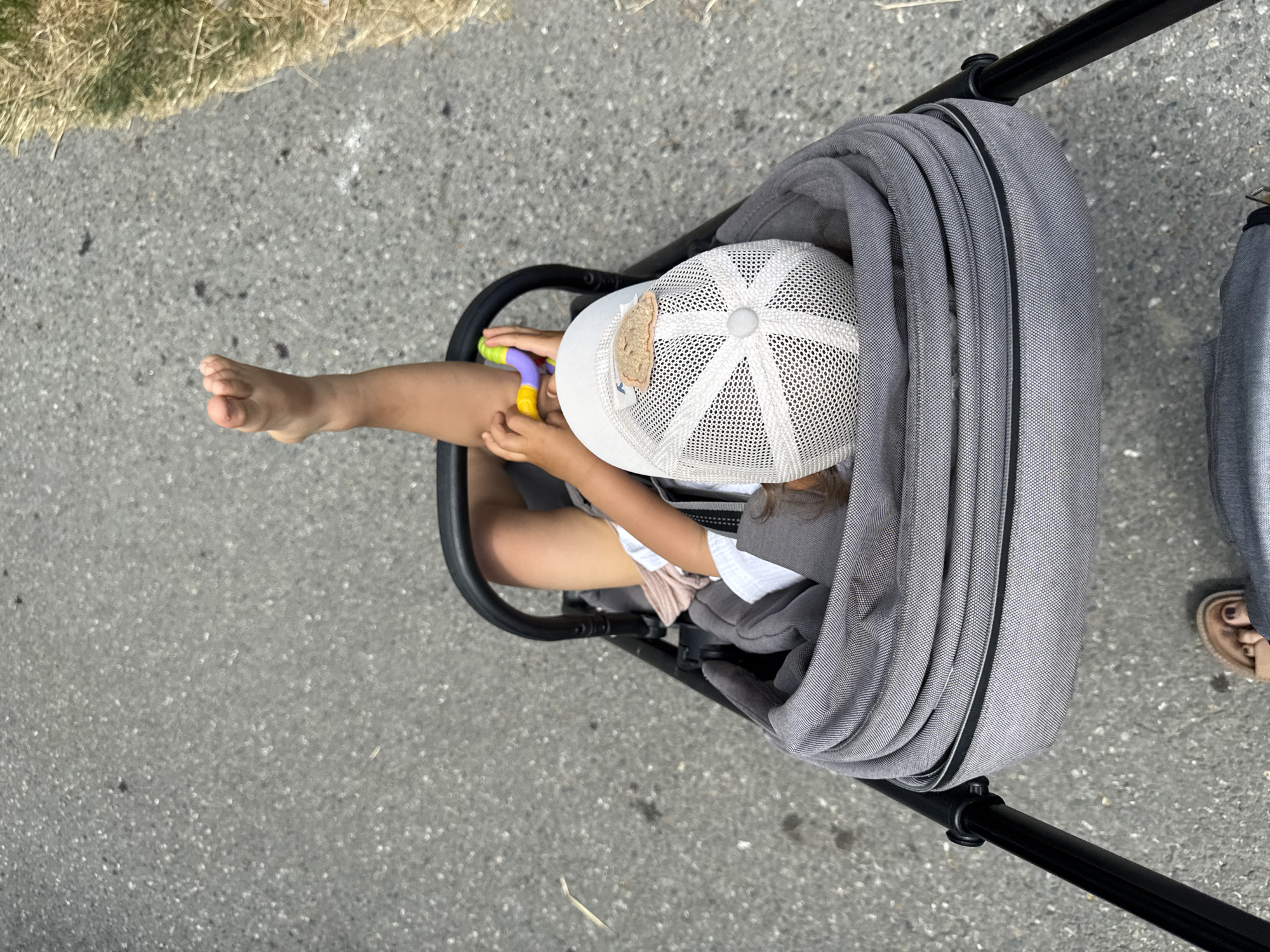A toddler wearing a white mesh cap is seated in a grey stroller, with one leg extended upwards. The child is holding a colorful teething toy. The stroller is on an asphalt surface, with dry grass visible to the right. The perspective is from above, looking down into the stroller. This scene appears to be located in Sochi, Russia.