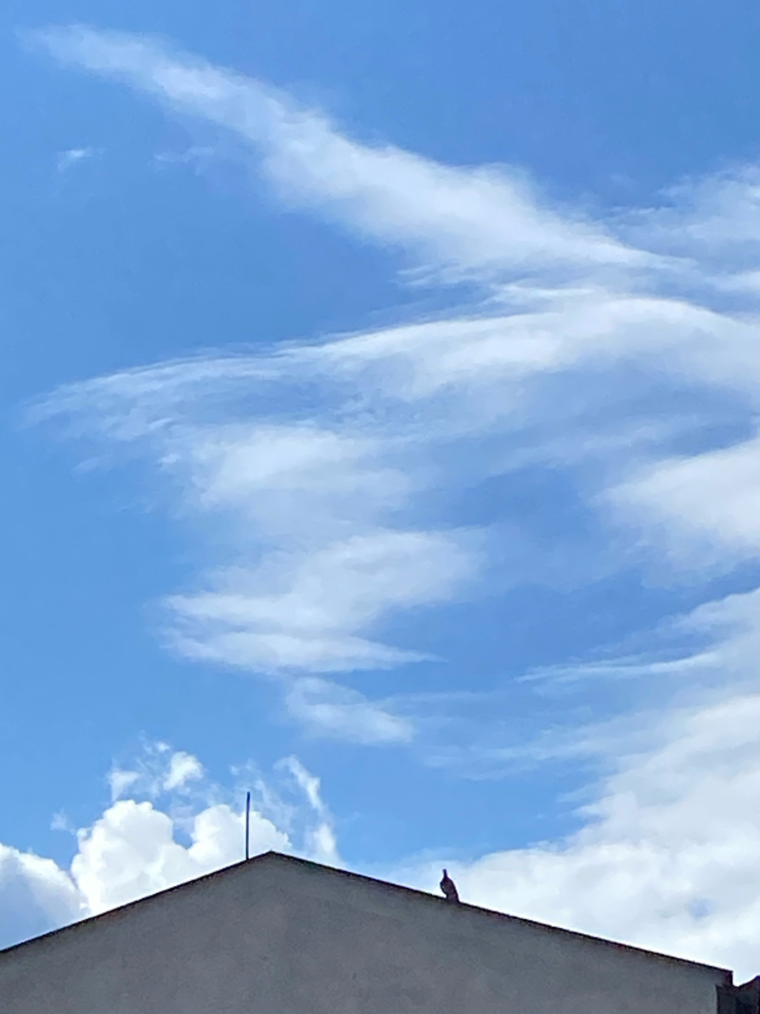 A silhouetted bird is perched atop a grey, sloped roof against a bright blue sky filled with wispy white clouds. The roof extends from the bottom edge of the frame. A thin, dark vertical rod is visible on the peak of the roof to the left of the bird. The image is taken from a low angle, looking upwards towards the sky.