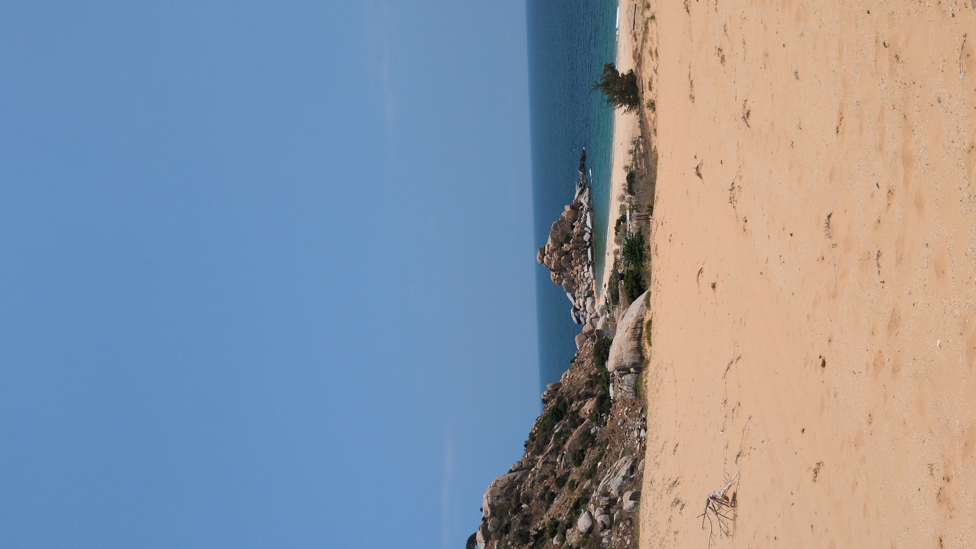 The image depicts a coastal scene near Phuoc Dinh, Vietnam, with the landscape oriented vertically. A wide expanse of clear, blue sky dominates the left side. The shoreline features a beach with light tan-colored sand, stretching from the bottom right upward, adjacent to the ocean. The ocean water transitions from a light turquoise near the shore to a deeper blue further out. Rocky formations are visible along the coastline, covered with sparse vegetation. A small tree stands at the edge of the beach.