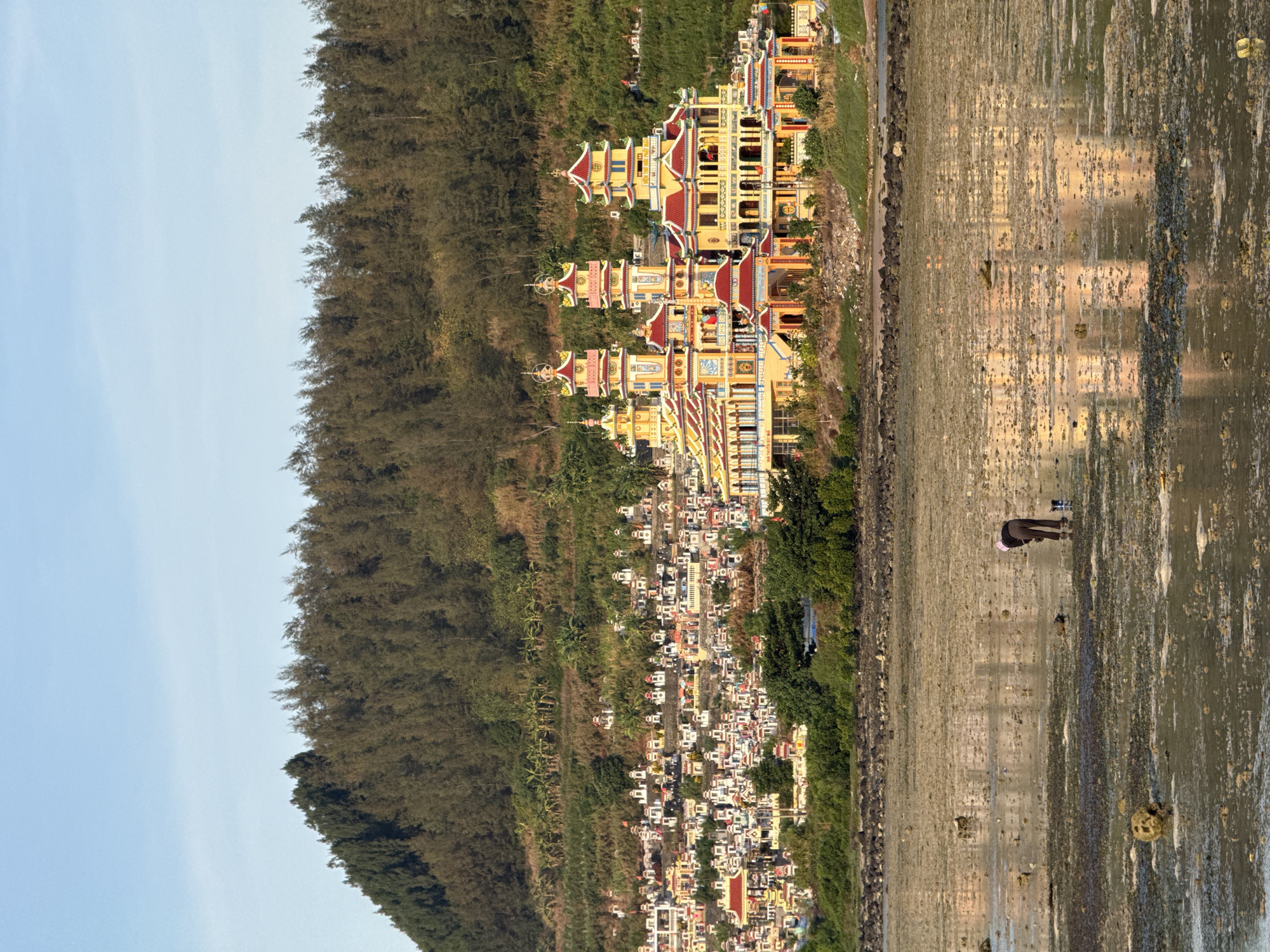 The image depicts a coastal landscape on Lý Sơn Special Administrative Region, Vietnam, with a vibrant Buddhist temple complex prominently featured on a hillside. In the foreground, a tidal flat is visible, with a single individual, likely a local resident, engaged in an activity such as collecting shellfish or cleaning the shoreline. The person is wearing dark clothing and a head covering, bending over at the water's edge. The tidal flat is characterized by wet sand, scattered rocks, and some organic debris.
The middle ground showcases a hillside densely populated with numerous small, white and colorful tombs, forming a cemetery that slopes upwards. Behind the cemetery, a larger, ornate Buddhist temple complex stands out with its multi-tiered roofs, bright yellow walls, and red accents. The temple architecture is intricate and traditional, reflecting Southeast Asian religious design.
The background consists of a steep, forested hillside covered with dense green trees. The sky above is a clear, pale blue, indicating fair weather. The overall scene captures a blend of natural beauty, cultural landmarks, and human activity in a coastal Vietnamese setting. The reflections of the temple and the sky are subtly visible on the wet surfaces of the tidal flat.