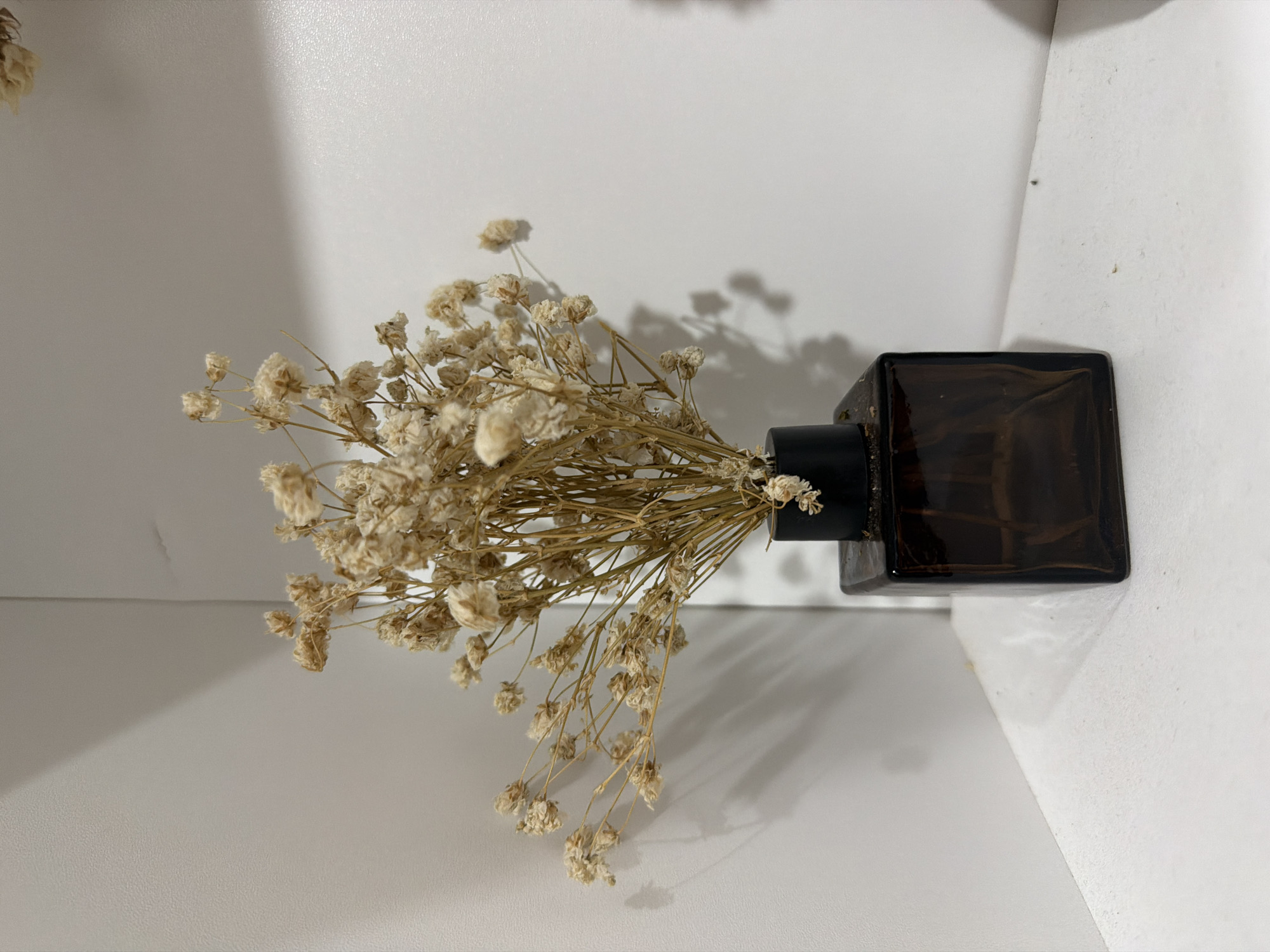 A still-life image shows a square, dark brown glass vase holding a bouquet of dried baby's breath flowers. The vase is positioned on a white surface, likely a shelf or tabletop, set against a white wall or backdrop. The dried flowers are a light tan color, and their stems are visible within the vase. The scene is illuminated by a light source that creates shadows of the flowers on the wall behind them. The image appears to be taken in an indoor setting. The location, Davao City, Philippines, cannot be verified from the image alone.