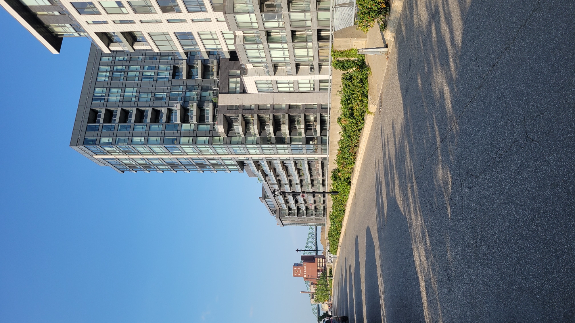 An asphalt road runs along a waterfront, with shadows of trees cast across it. Modern high-rise buildings with glass facades and balconies line the opposite side of the road, separated by a concrete barrier and a row of green bushes. In the distance, the Molson Brewery building and a green bridge are visible. The sky is clear and blue. The scene depicts a waterfront area in Montreal, Canada.