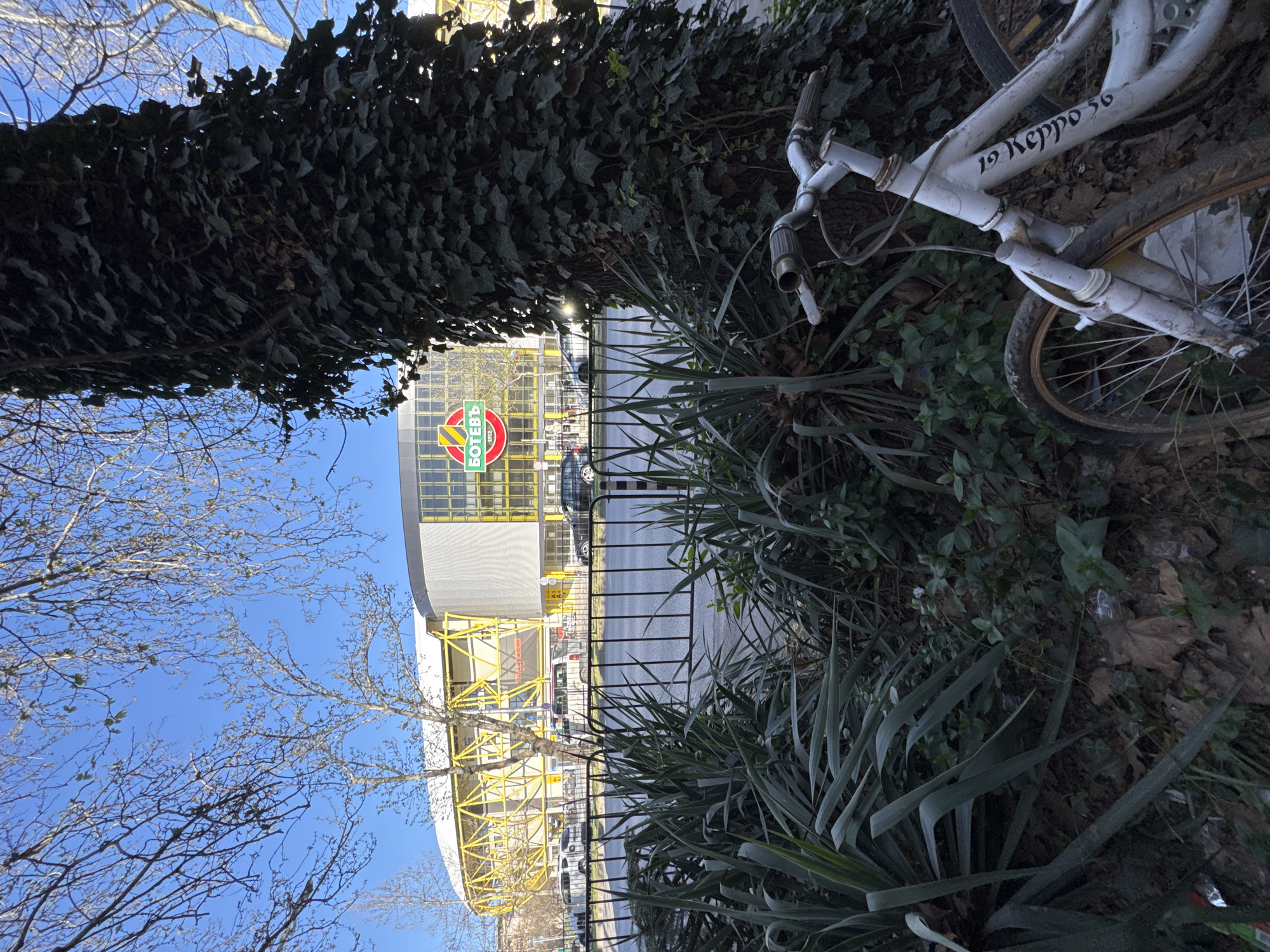 The image depicts a scene in Plovdiv, Bulgaria, featuring a bicycle resting on the ground, obscured partially by vegetation. In the background is the Botev Plovdiv stadium. The sky is visible through bare tree branches and is blue. The stadium is enclosed by a black metal fence. A portion of the stadium's sign is visible, in red and green with "Botev" written in Cyrillic script. The vegetation includes ivy, long thin leafed bushes and general foliage. The bicycle is white with "19 Keppo 56" written on its frame. The street in front of the stadium is visible with parked cars.