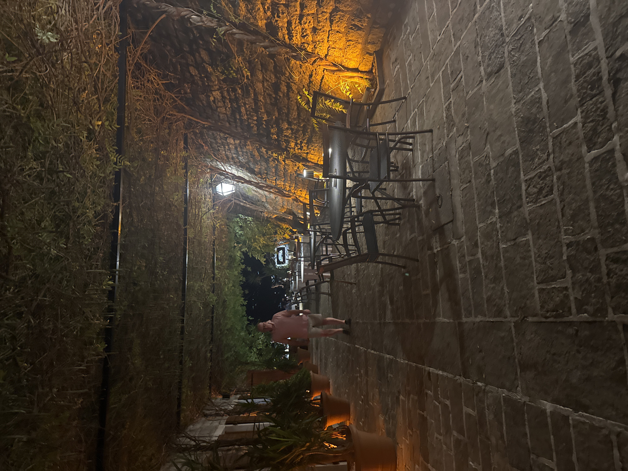 A full shot shows a man walking on a cobblestone path under a vine-covered pergola at night. The man is wearing a pink polo shirt and light-colored shorts. To his left, several large potted plants are visible, and to his right, outdoor dining tables and chairs are set up. The stone wall to the right of the path is illuminated by warm, orange light, with vines and branches hanging from the pergola above. A street lamp is visible in the background.