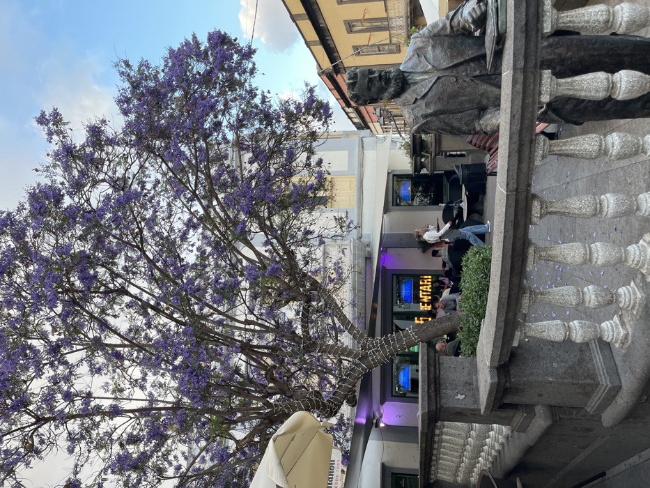 The image shows a large tree with purple flowers in full bloom, located in the city of Arucas, Spain, at coordinates 28.119, -15.524. The tree stands in front of a building with a white facade and a sign that reads "5 Entari." The building has a tiled roof. The tree is casting shade on the sidewalk. There are several people sitting on chairs and tables in front of the building, and a woman in a blue shirt and pants is walking past. In the foreground, a bronze statue of a man in a suit with a beard is sitting on a bench. The statue's right arm is outstretched, and the left hand is holding a book. The bench is facing the tree and the building. The sidewalk is paved with grey tiles and there are purple petals from the tree scattered on the ground. There is a stone railing in front of the building and the statue. The sky is a light blue with some clouds.