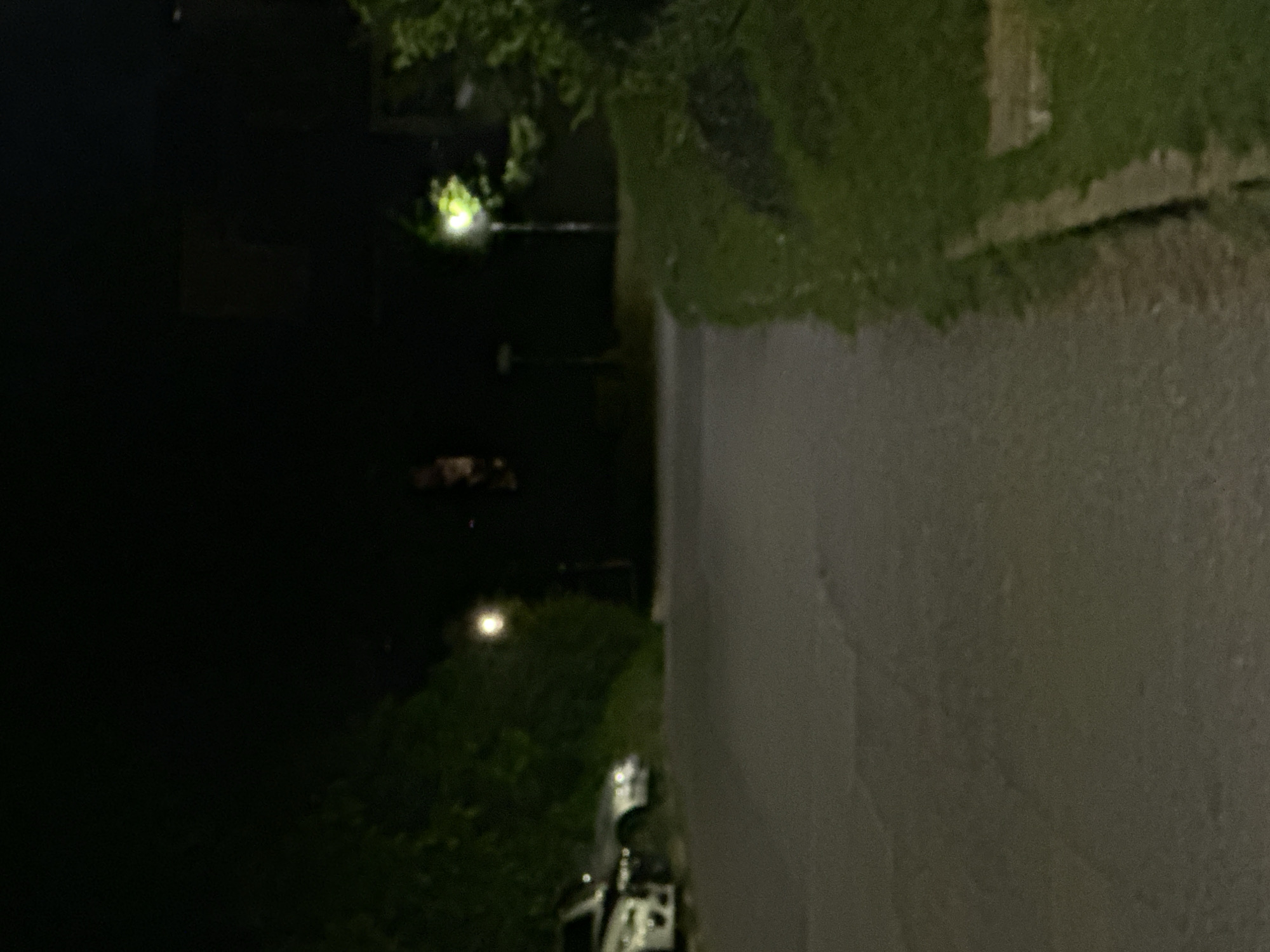 The image depicts a dimly lit scene at night. In the foreground, a paved surface, possibly a road or a parking lot, stretches into the darkness. On the left side of the paved surface, two cars are partially visible, parked parallel to the road. The car in the foreground is white, and the one behind it is a darker color. Beyond the cars, dense green foliage lines the left side of the scene.
To the right of the paved surface, a grassy embankment slopes upwards. A curb or low wall separates the paved area from the grass. Further into the background on the right, a streetlamp illuminates a patch of green foliage. The background is dark and indistinct, with faint lights visible in the distance, suggesting a residential or suburban area. The overall impression is a quiet, possibly residential street or parking area at night.