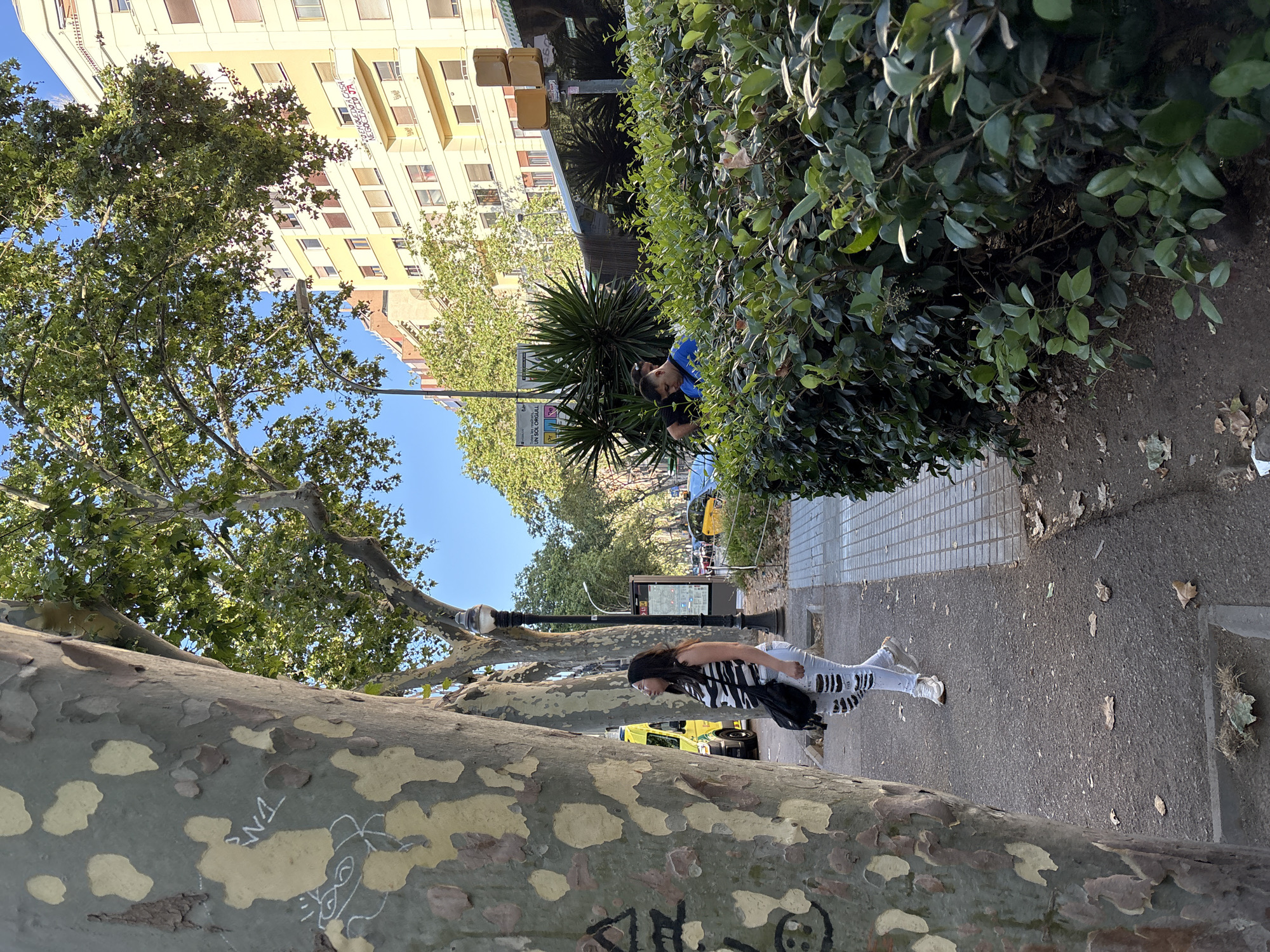 A medium shot captures a city street scene with a woman walking on a sidewalk next to large trees. She is wearing ripped white jeans, a black and white striped sleeveless top, and sneakers. A black bag is slung over her shoulder. To her left, an ambulance is visible. The sidewalk is bordered by a bush and beyond that, a street with a bus and a yellow taxi. In the background, a multi-story building with yellow and beige facades stands under a clear blue sky. Another person, wearing a blue shirt, is partially visible behind the bush. Graffiti is present on the bark of the foreground tree. The ground is paved with concrete and some fallen leaves are scattered on the path.