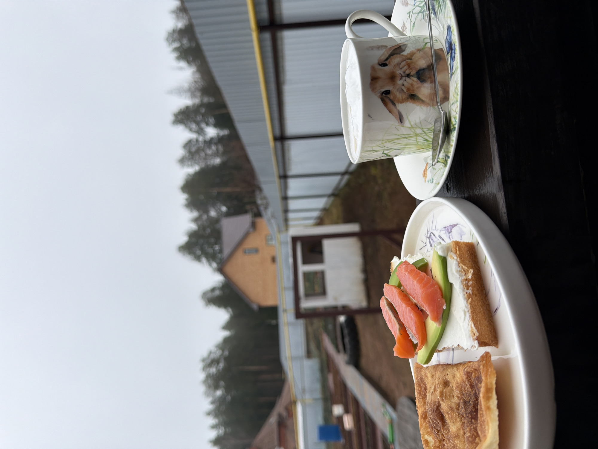 A cup of coffee with a rabbit design sits on a saucer next to a plate with a piece of bread with salmon and avocado. The scene is photographed outdoors, likely on a porch or balcony, with a view of trees, houses, and a cloudy sky. The location is Chaikovsky, Russia.