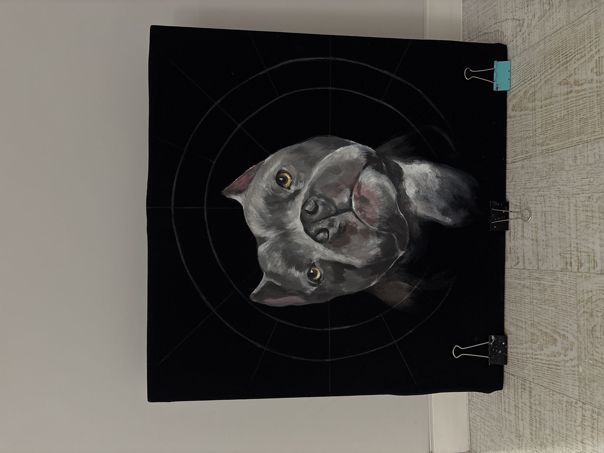 The media file captures a close-up view of a painting featuring the head of a grey dog, possibly a bulldog or pitbull type breed. The dog has prominent yellow eyes and an alert, slightly curious expression, with visible highlights of white and subtle pinkish tones on its fur, ears, and snout. The painting is rendered on a black canvas or fabric, which serves as a stark background, emphasizing the dog's features.
Faint white circular and radial lines are visible on the black background, suggesting a grid or guide used in the artistic process. The canvas is held in place by three binder clips; one light blue clip is positioned at the top right corner, and two black clips (one with white speckles) are along the right edge. The painting is set against a plain, light-colored wall on the left, and a wooden-textured surface, possibly a floor or another wall, on the right. The scene depicts an artwork in progress or on display within an indoor setting. No text is visible in the image.