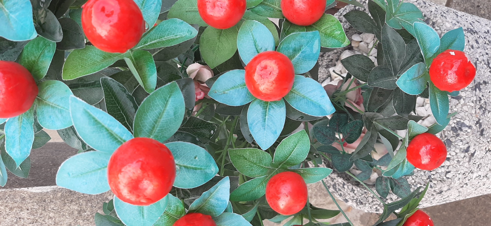 An overhead, medium shot captures a close-up view of a potted plant adorned with bright red, artificial fruit. The plant features clusters of vibrant green leaves, some of which have a bluish tint. Interspersed among the leaves are numerous small, round, red fruits, giving the impression of a miniature apple or cherry tree. The pot itself is textured with a speckled, grey and white material. The background shows a rough, grey, concrete-like surface on the left, and out-of-focus green foliage and pinkish blossoms further into the background. The lighting appears to be natural, with some highlights on the glossy surface of the artificial fruit. The scene suggests an outdoor setting, possibly a garden or patio, in an urban environment.