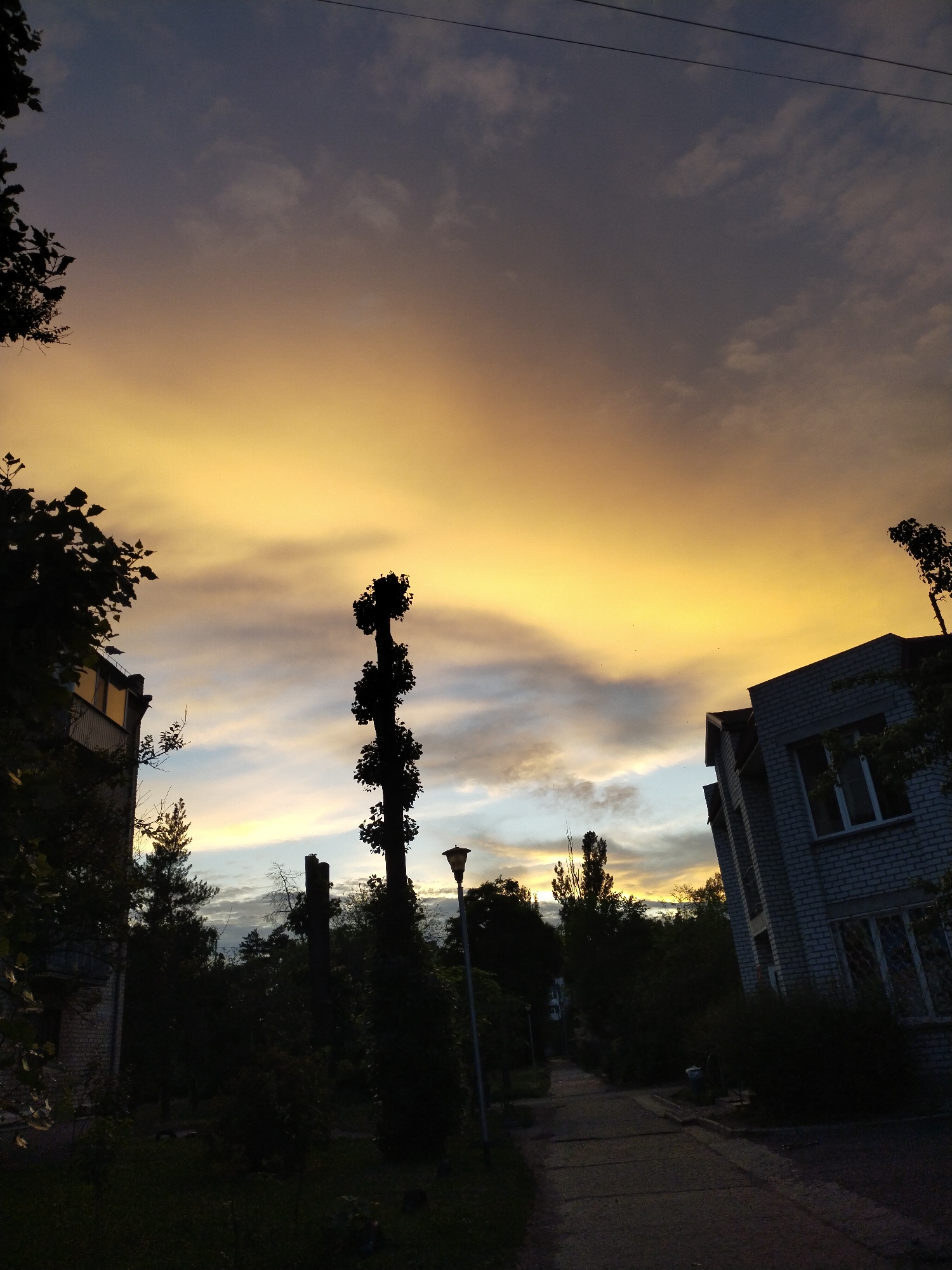 The image shows a view of a street in Horishni Plavni, Ukraine, during twilight. The sky is a dramatic blend of deep blue and vibrant golden-yellow, with streaks of clouds. Silhouetted against the sky are several elements: to the left, the dark foliage of a tree and the side of a multi-story building with windows reflecting the sky's colors. In the center, a tall, slender tree with a peculiar, layered silhouette of leaves stands prominently. To the right, another building, constructed of light-colored brick, features windows with metal grates. A paved walkway leads through the scene, bordered by dark foliage and trees. A streetlamp is visible on the right side of the walkway. The overall impression is one of an urban landscape at dusk, with the natural beauty of the sky contrasting with the man-made structures.