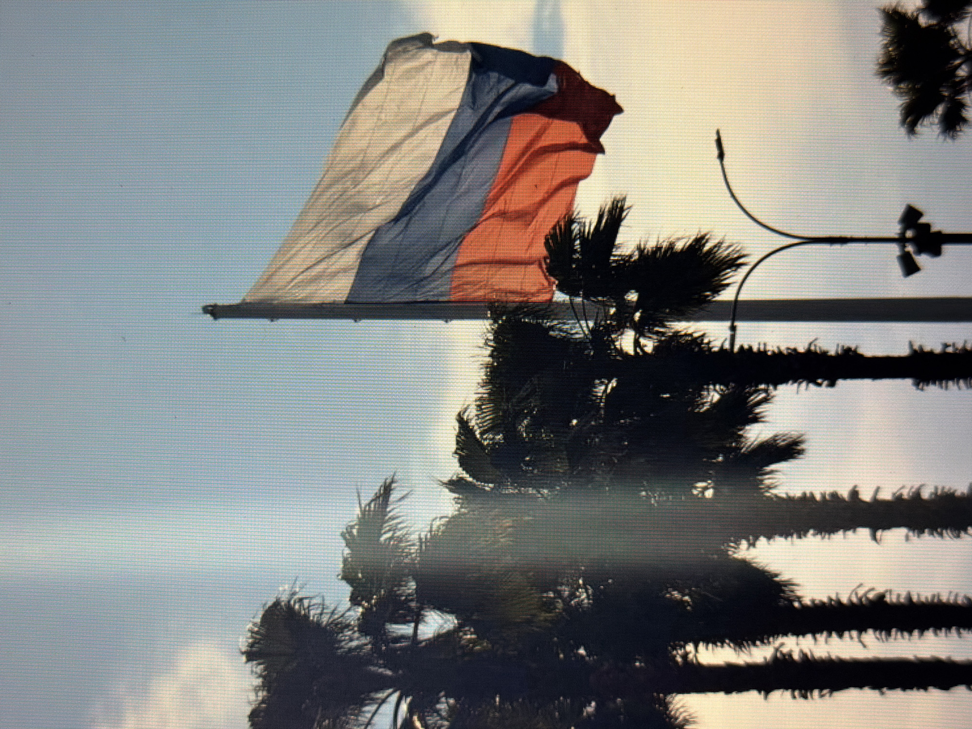 An outdoor, low-angle medium shot shows the Russian flag waving in the wind against a pale blue sky with some clouds. The flag is composed of three horizontal stripes: white at the top, blue in the middle, and red at the bottom. Silhouetted palm trees are visible on the left side of the image, with their fronds obscuring parts of the sky and the flag. A street light with two curved arms and multiple lamps is positioned to the right of the flag. The lower portion of the image is dominated by the dark trunks of more palm trees. The scene suggests a warm, possibly tropical or subtropical, climate. The location is identified as Sirius, Russia.