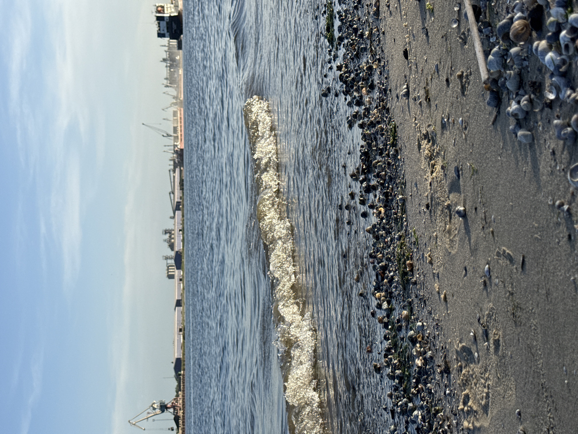The image depicts a beach scene in Rostov-on-Don, Russia. The sky is light blue with sparse clouds. The Volga-Don Canal is visible in the background with industrial structures and cranes. A wave is breaking on the shore, with sunlight reflecting off the water. The beach is sandy and covered with small rocks and seashells. A collection of larger seashells is visible along the right edge of the frame.