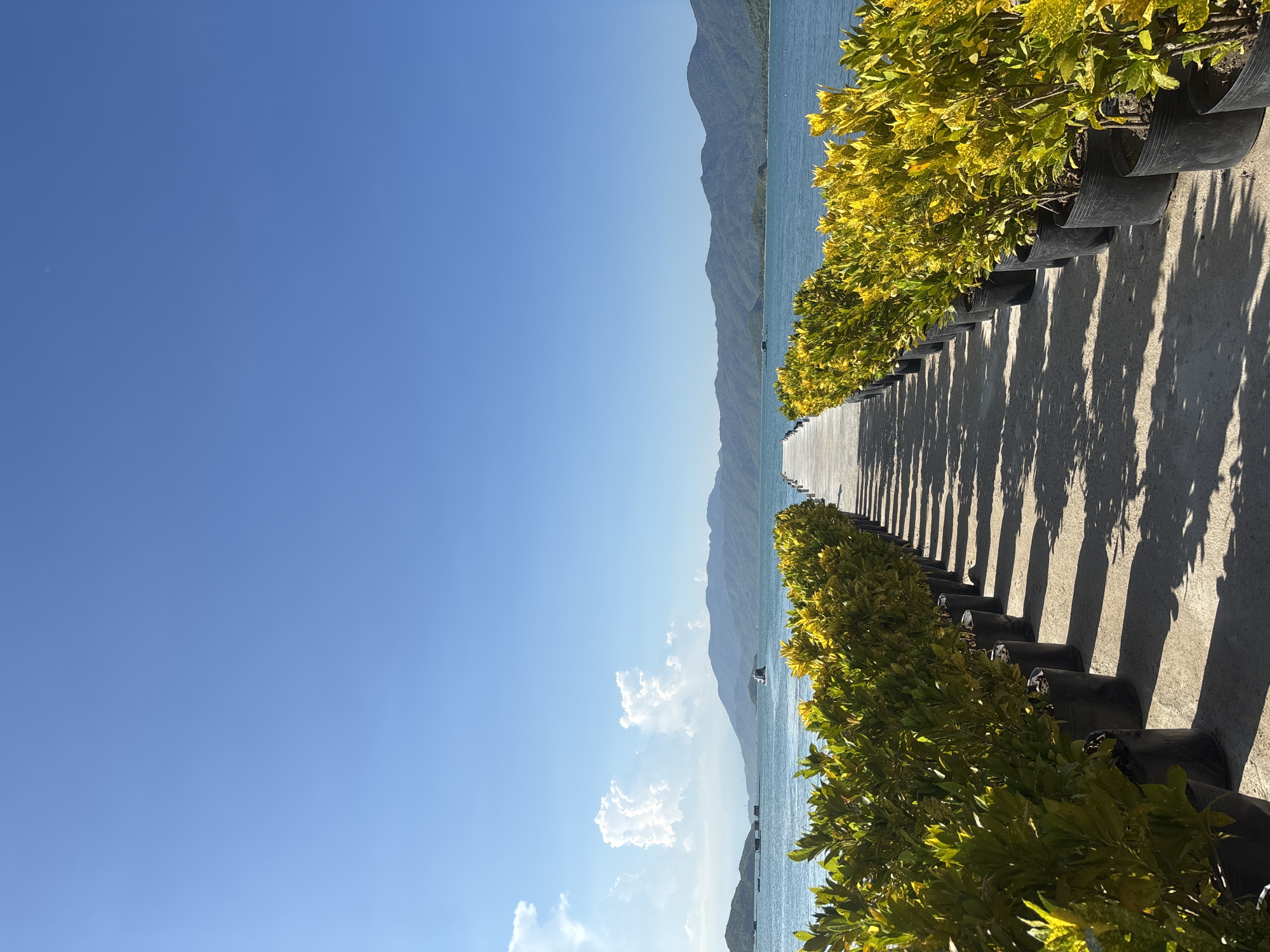 The image depicts a scenic view of a pier extending into a body of water, bordered by rows of potted yellow-leafed plants. The pier is constructed of concrete and casts long shadows on the ground, indicating a sunny day. The water is a calm blue, meeting a distant shoreline with verdant, tree-covered mountains under a clear blue sky with scattered white clouds. A small white boat is visible in the water. The setting appears to be a tranquil coastal or lakeside area, possibly within Vĩnh Lương, Vietnam, given the geographical context. The composition is symmetrical, drawing the viewer's eye towards the horizon.