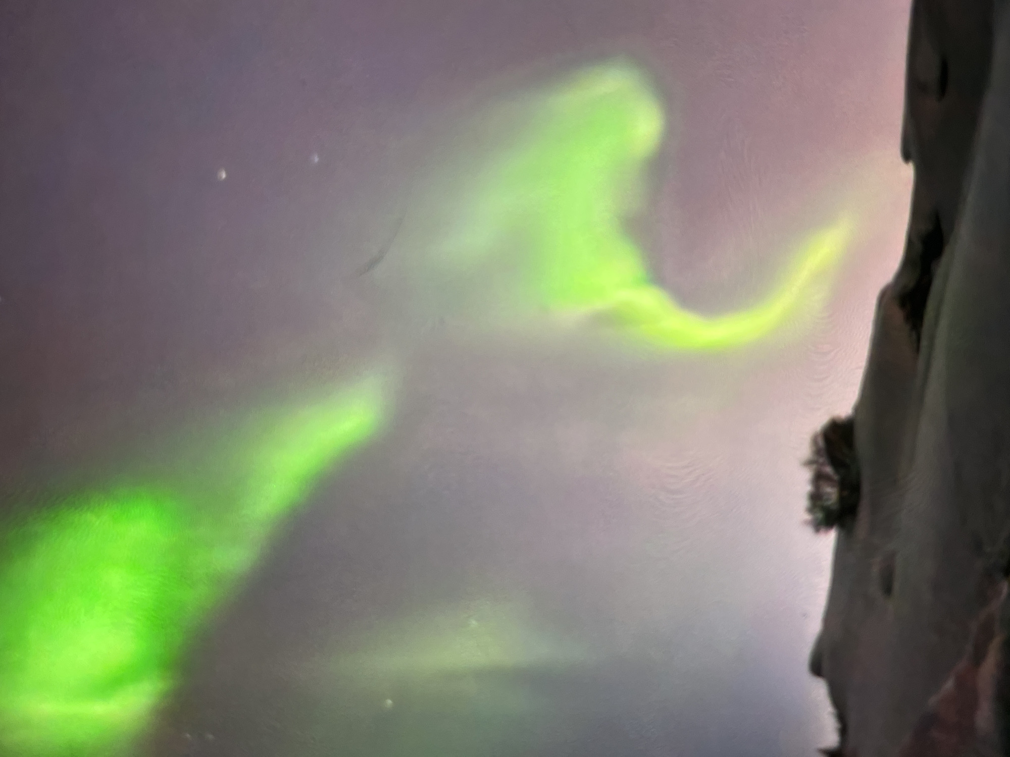 The image depicts a nighttime scene featuring the aurora borealis over a desolate, snow-covered landscape. The aurora displays vibrant green hues, forming ethereal ribbons and waves across the dusky purple sky. The foreground is dominated by a dark, undulating terrain, possibly a hillside or dune, with patches of snow. A solitary, scrubby bush is visible on the crest of the hill. The overall atmosphere is one of natural wonder and isolation. The location is unknown.