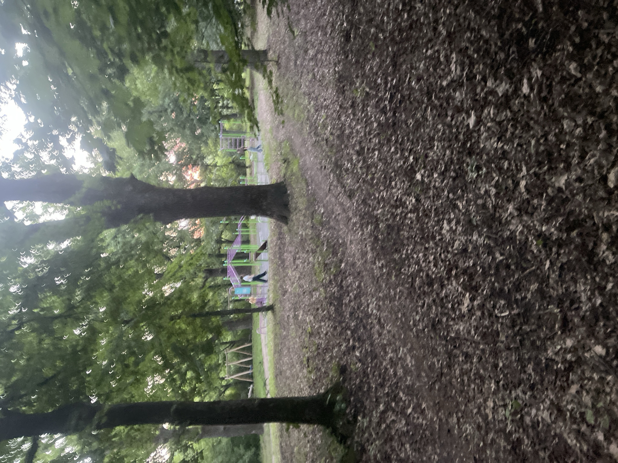The image depicts a wooded area with a playground in the background. In the foreground, the ground is covered with fallen leaves. Two people are visible near the playground. One person, wearing a light-colored shirt and dark pants, walks on a path. Another person, in an orange top and light-colored pants, stands near the playground equipment. The playground features a swing set and other colorful structures. Trees with green leaves surround the scene, and dappled sunlight filters through the foliage. The overall impression is of a park or recreational area on a cloudy day, with a sense of natural decay due to the leaf-covered ground.