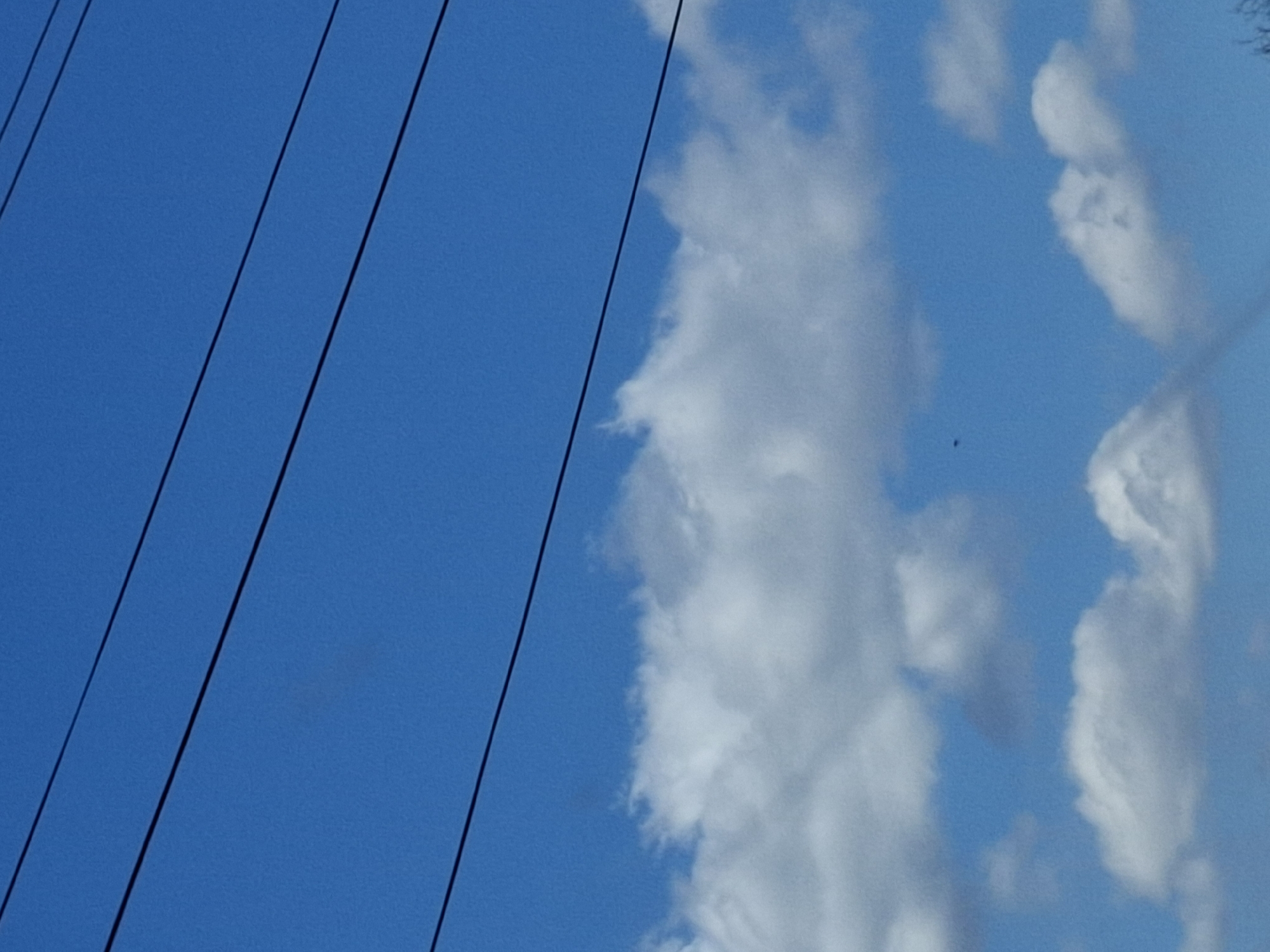 The image presents a daytime view of a clear blue sky interspersed with white, fluffy clouds. Three dark, seemingly parallel wires are positioned on the left side of the frame. The image does not provide sufficient information to determine the specific location or details about people, subjects, objects, actions, or interactions within the scene, nor can the location in Studeno Buche, Bulgaria, be confirmed based on this image.