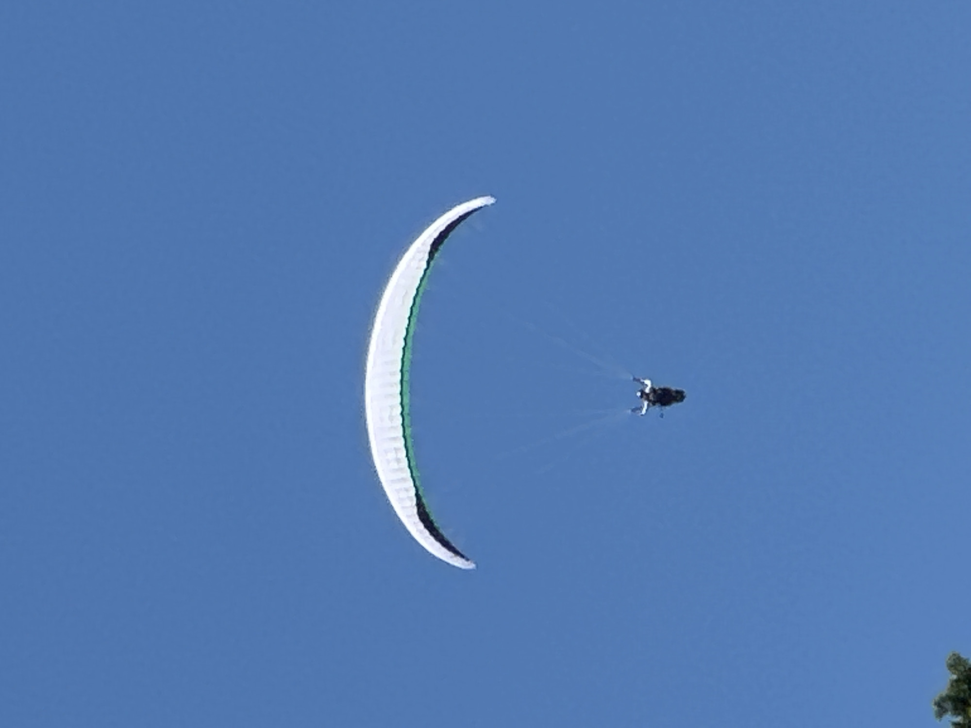 An individual is paragliding against a clear blue sky. The paraglider, suspended beneath a white and green wing, is positioned centrally in the frame, with the paraglider appearing as a dark silhouette against the bright sky. The wing of the paraglider is curved and appears to be catching the wind. The background is entirely sky, suggesting an outdoor activity in an open space. There are no visible buildings or specific landmarks that would indicate a location within the city of Boreti, Montenegro.