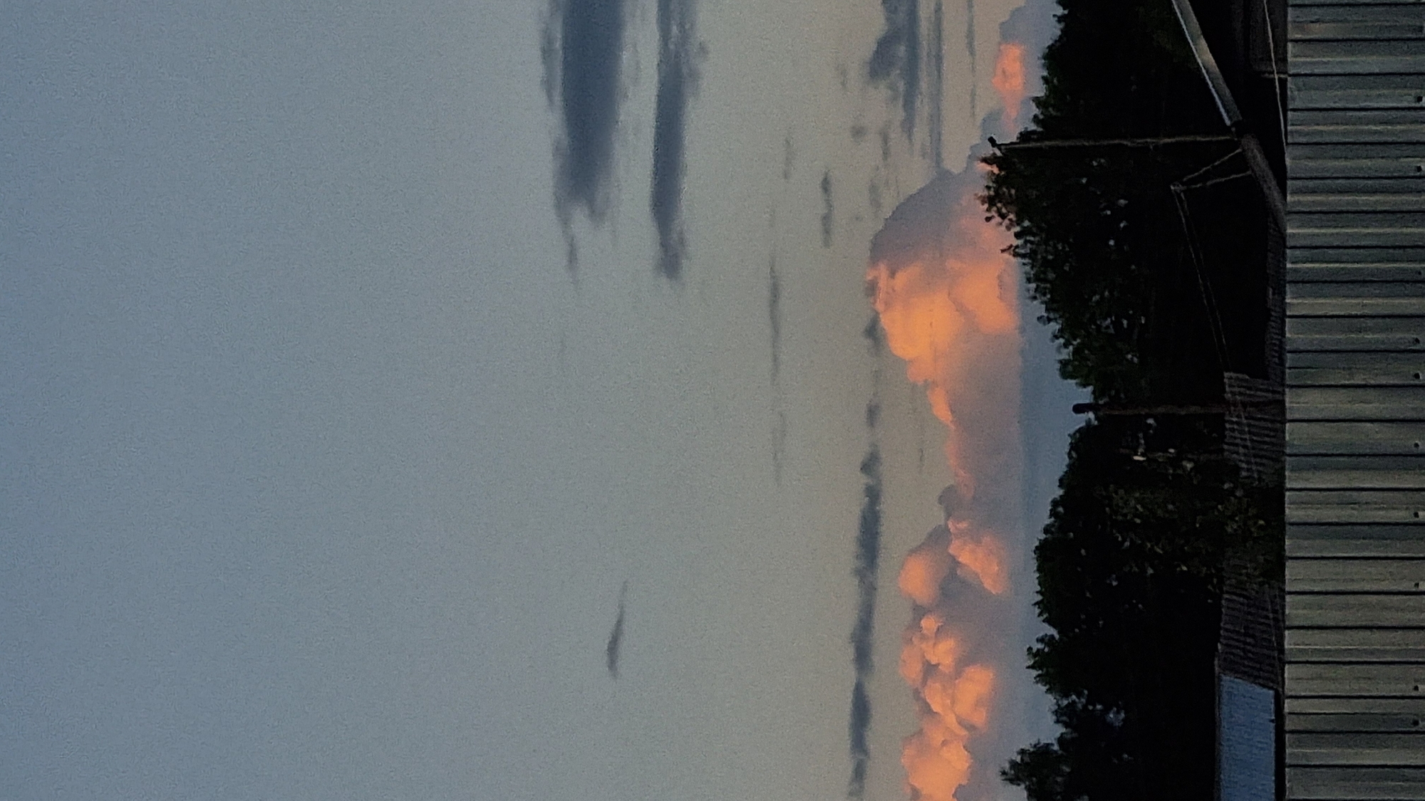 The image depicts a sky with a gradient of colors, transitioning from a pale blue at the top to a slightly darker hue near the horizon. Several clouds are visible, with some appearing as streaks of gray and others as puffy formations tinged with orange and pink, suggesting they are illuminated by a sunset or sunrise. Below the sky, a dark silhouette of trees forms a dense line across the middle ground. In the foreground, a corrugated metal fence runs horizontally, with the top edge showing its ribbed texture. Behind the fence, parts of structures with corrugated roofs are visible, along with utility poles and wires. The overall scene suggests an outdoor environment, possibly in a residential or semi-rural area. The lighting indicates it is either early morning or late evening. The location is identified as Vysokoe, Russia.
