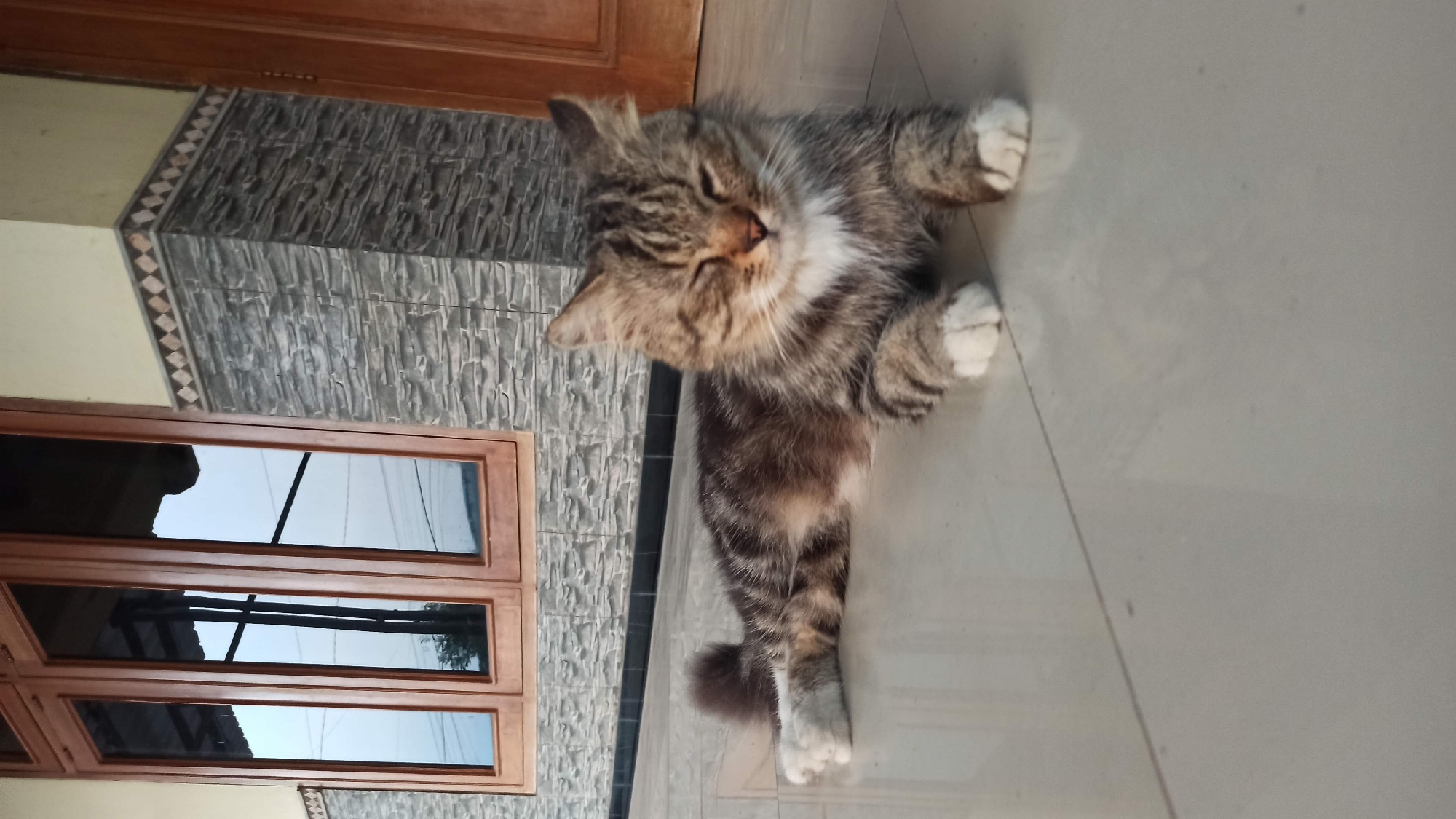 A tabby cat with white paws is lying on a tiled floor in front of a building. The cat is facing the camera with its eyes closed. Behind the cat, there is a wall with stone-like tiles and a wooden window. A wooden door is visible to the right. The scene appears to be outdoors, possibly in the city of Bedikulon, Indonesia.