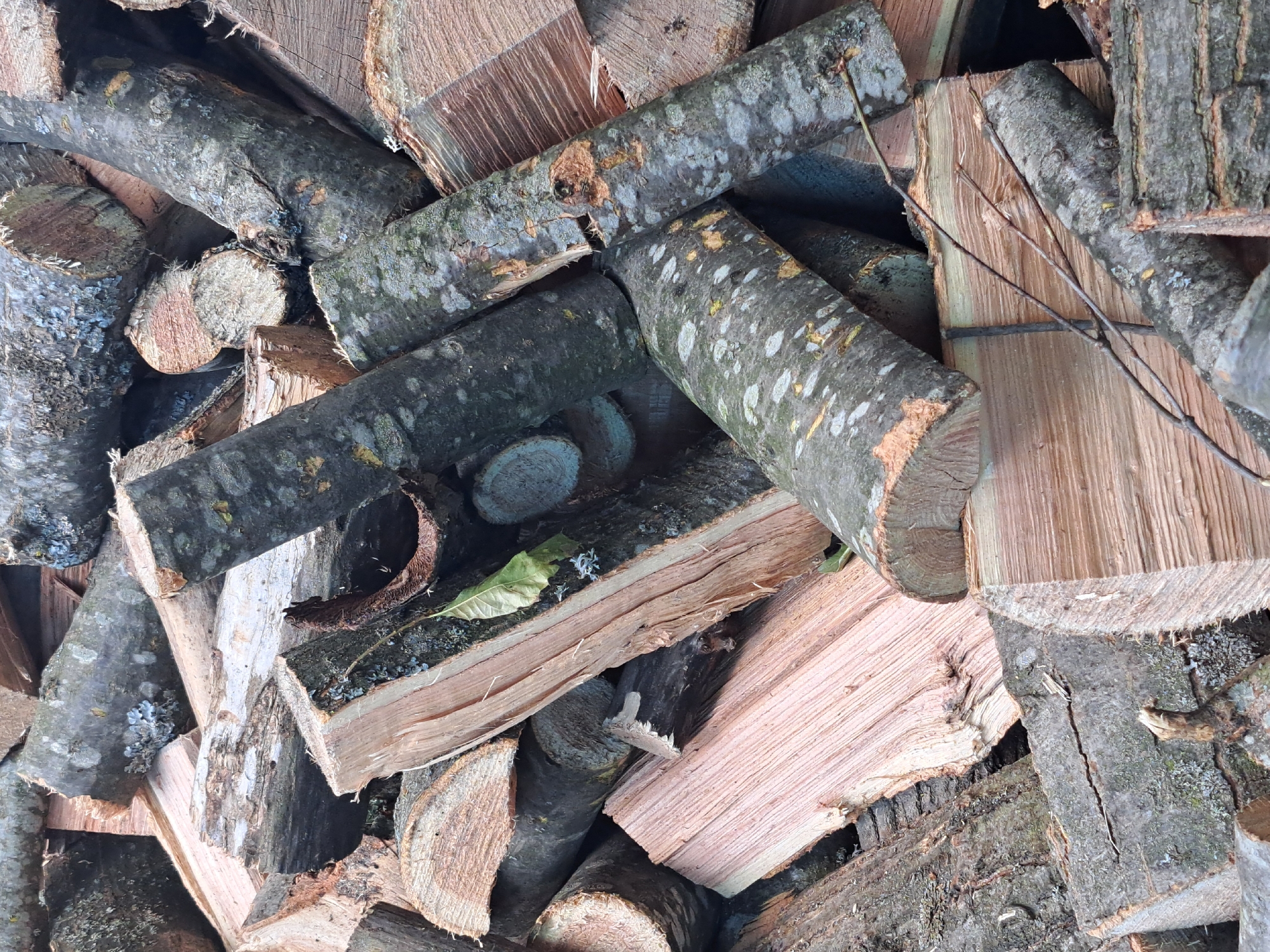 A large pile of chopped firewood is shown in an outdoor setting. The wood is varied in size and shape, with some logs being thick and others split into thinner pieces. The bark on some of the logs is dark and rough, while other pieces show the lighter, smoother wood grain. There are some leaves and twigs scattered amongst the wood, suggesting it is a natural environment. The lighting indicates it is daytime. The scene is consistent with a location in the city of Vypasne, Ukraine.