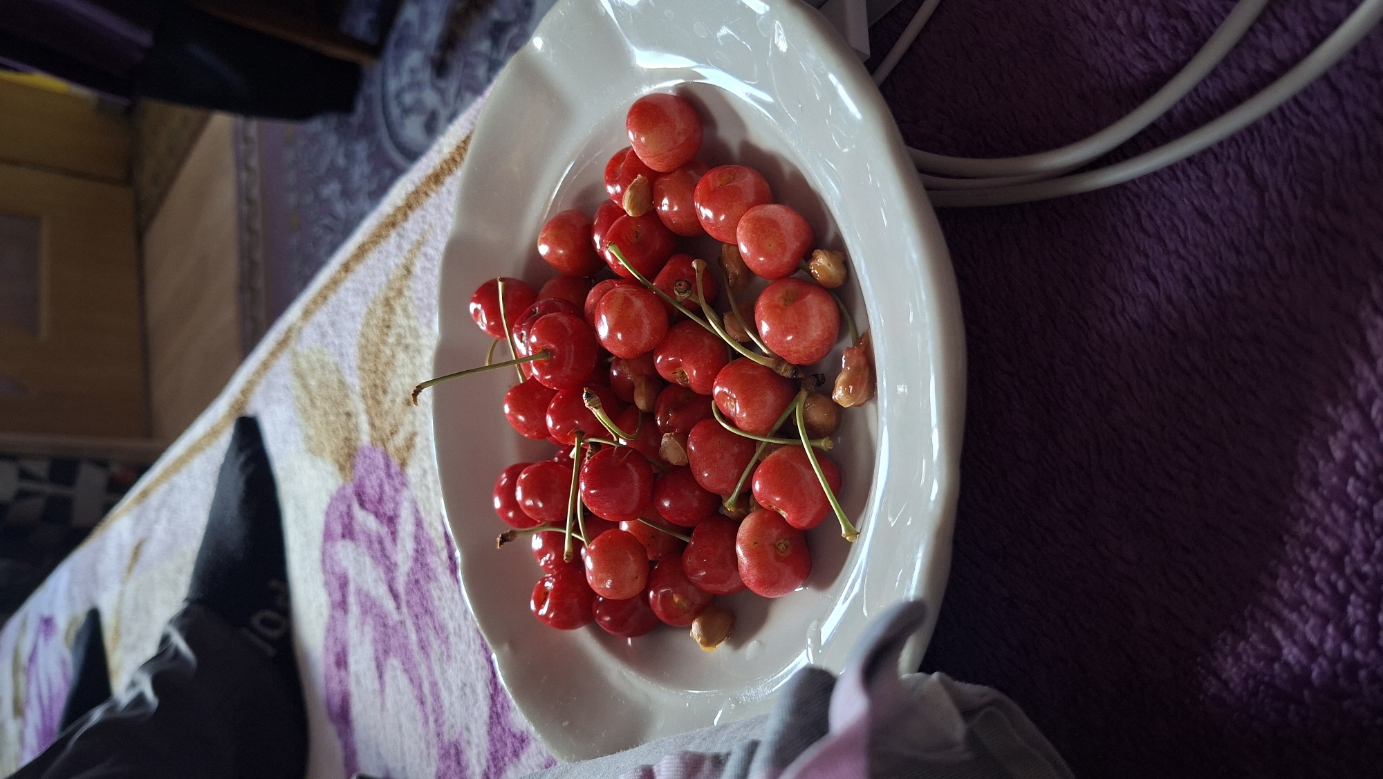 A slightly tilted overhead shot shows a white plate filled with red cherries and cherry pits. The plate is resting on a purple blanket or rug with a textured surface. A patterned rug with brown and purple designs is partially visible in the lower-left. Cables are visible in the upper right corner. Part of a black shoe or boot is visible on the left side of the image. The image suggests an indoor setting in Smirnenski, Bulgaria.