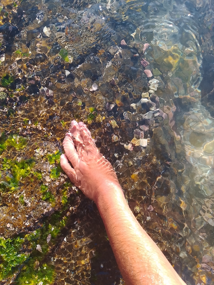 A fair-skinned arm reaches into clear water covering a rocky seabed. Ripples distort the hand submerged just beneath the surface. Green and brown algae cover some of the rocks to the left. Light reflects off the water, creating a shimmering effect that enhances the texture of the rocks and obscures details. The background fades into a blurred watery scene.