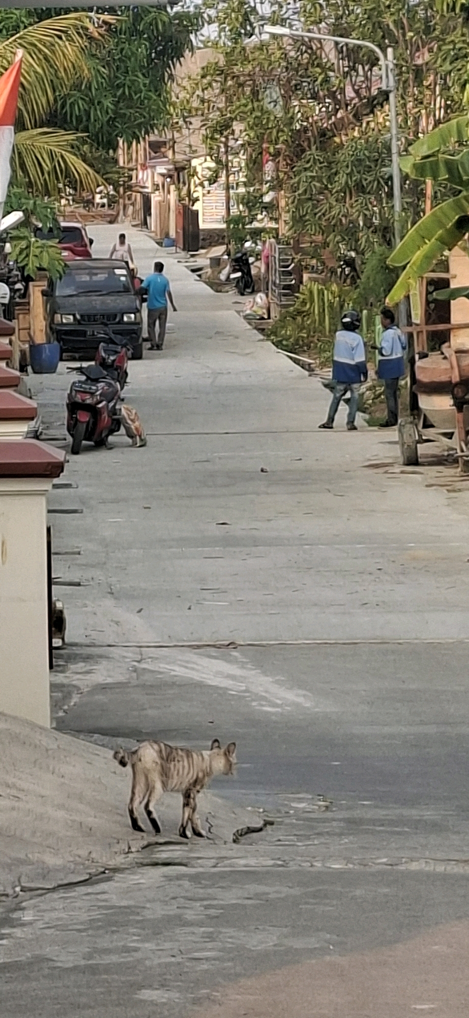The image depicts a street scene in Bontang, Indonesia, featuring a narrow road lined with buildings and dense vegetation. In the foreground, a striped animal, resembling a dog or a small canine, stands on a raised incline. The street is occupied by parked motorcycles, including a red and black scooter in the mid-ground, and a black car further up the road. Two individuals are walking away from the viewer on the street, one wearing a blue shirt and the other a light blue and white long-sleeved shirt. Another person in a blue shirt is visible further up the road, near the black car. A concrete mixer is positioned on the right side of the frame, near two more individuals wearing similar blue and white attire. The overall environment suggests a residential or semi-commercial area in a tropical climate.
