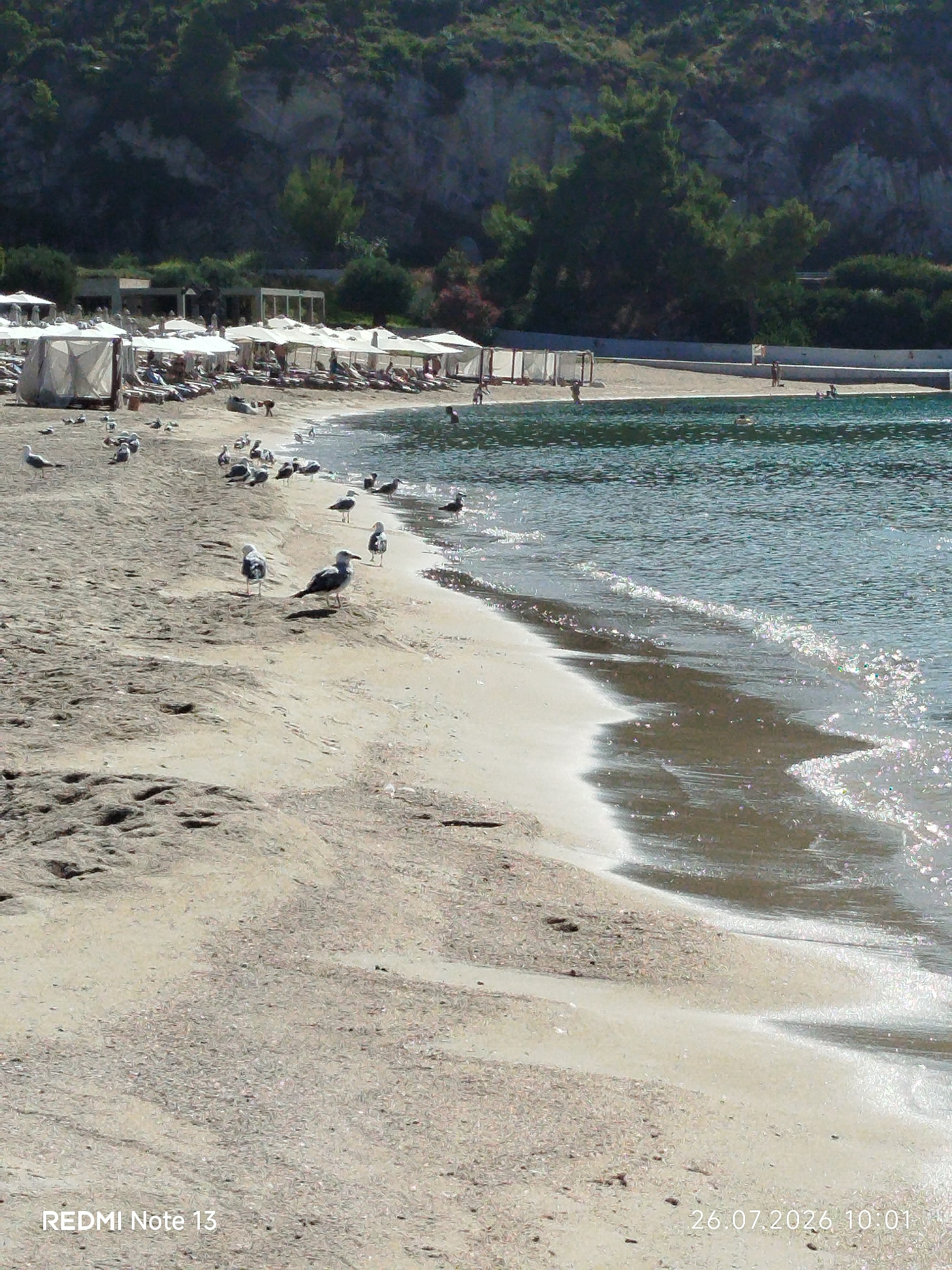 The image depicts a sandy beach in Sithonia Municipal Unit, Greece, with the Ionian Sea to the right. The foreground is dominated by a wide expanse of sand, with footprints and scattered debris. Numerous seagulls are visible on the sand, some standing and others walking. In the mid-ground, beach chairs and umbrellas are set up along the shore, with a few people relaxing. Further back, vegetation and a rocky hillside form the backdrop. The sea is calm, with gentle waves lapping at the shore, and the sunlight reflects brightly off the water. The timestamp "26.07.2026 10:01" is present in the lower right corner of the image, and "REDMI Note 13" is in the lower left.