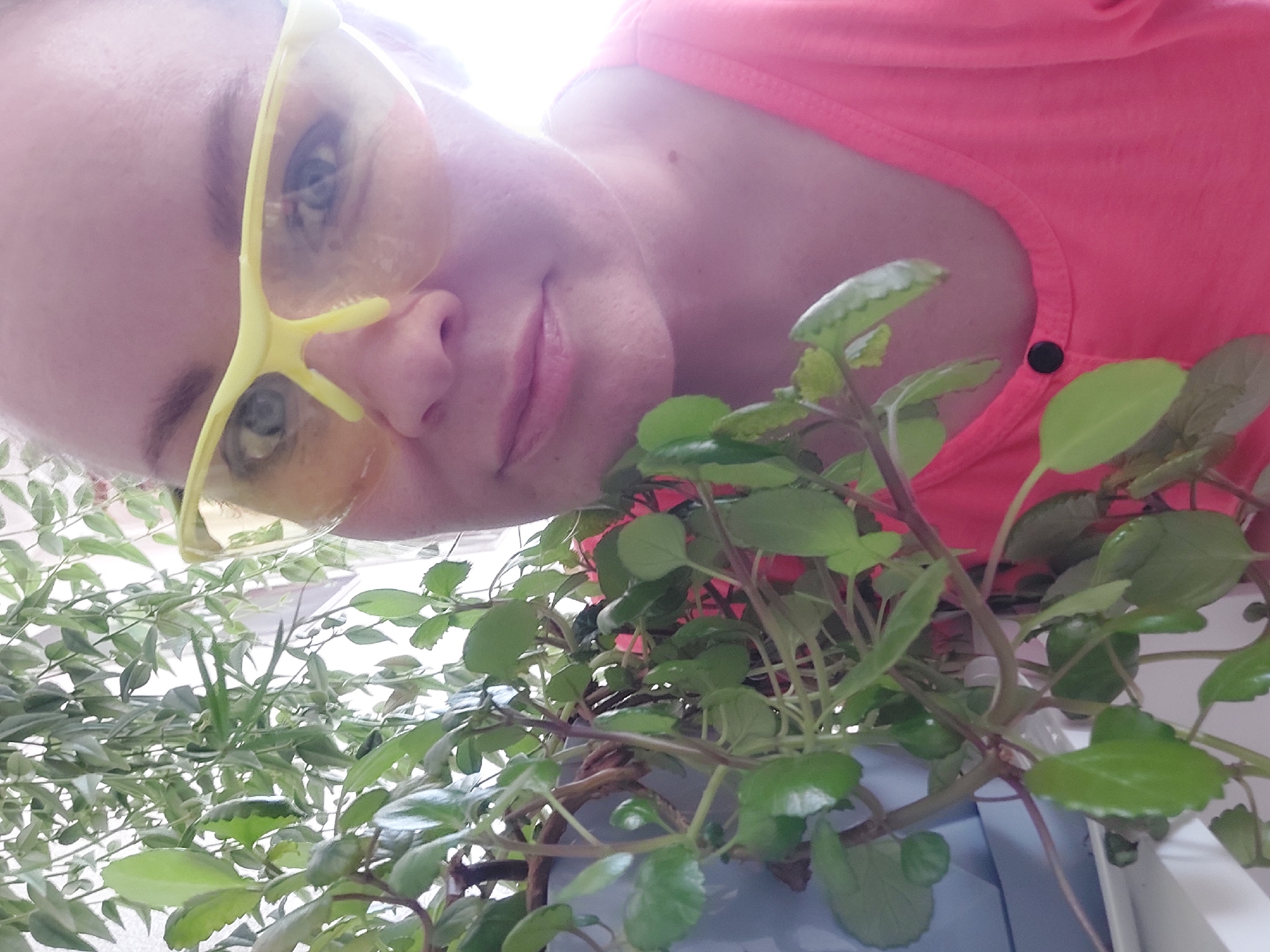 A woman wearing yellow glasses and a pink shirt is positioned above a houseplant with green leaves in what appears to be an indoor setting. Another plant is visible behind the first. The image is taken from a low angle, with the woman looking down towards the camera. There is not enough information to determine the location in the city of Большой Букор, Russia.
