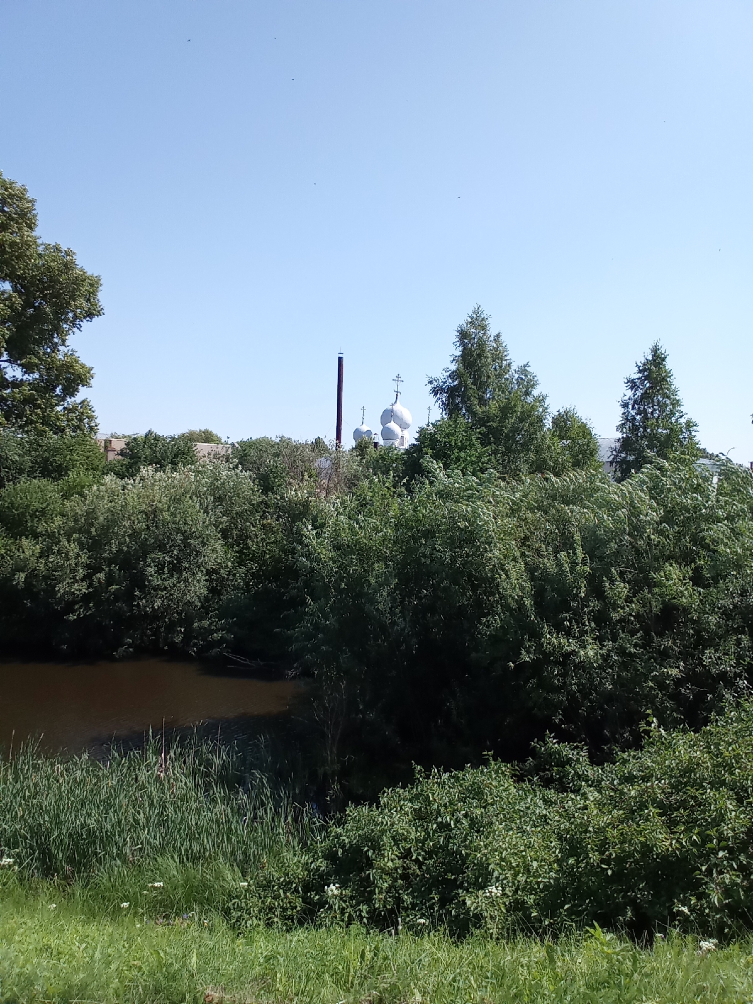 The image depicts a pastoral scene near Belozersk, Russia, on a clear, sunny day. In the foreground, lush green grass and reeds line the bank of a calm, dark-water river. The river curves gently to the left, its surface reflecting the blue sky and surrounding foliage. Beyond the riverbank, dense green trees and bushes form a verdant barrier, partially obscuring structures behind them. Prominently visible among the trees are several white, domed structures topped with crosses, suggesting a church or monastery. A tall, dark smokestack also rises from behind the foliage, indicating industrial activity or a utility building. The sky is a vibrant, cloudless blue, with a few faint specks that could be birds or insects. The overall atmosphere is one of natural beauty interspersed with elements of human construction.