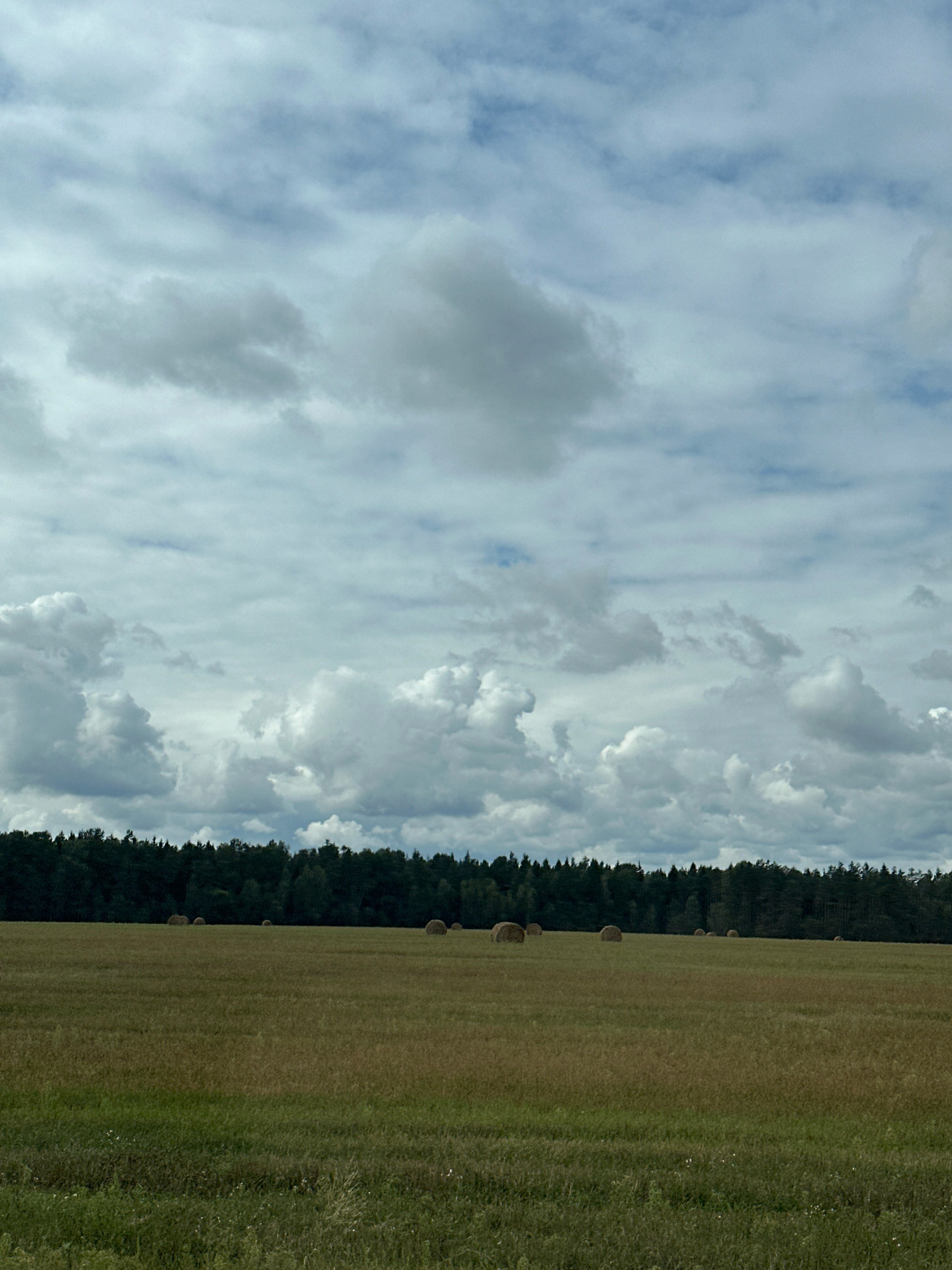 The image depicts a wide, open field in Сычкаўскі сельскі Савет, Belarus, under a cloudy sky. The field is covered in dry grass and vegetation, with several round hay bales scattered across its surface. In the background, a dense line of dark green trees forms a forest bordering the field. The sky is filled with a mix of light and dark grey clouds, with patches of lighter sky visible between them. The overall impression is one of a rural, agricultural landscape.